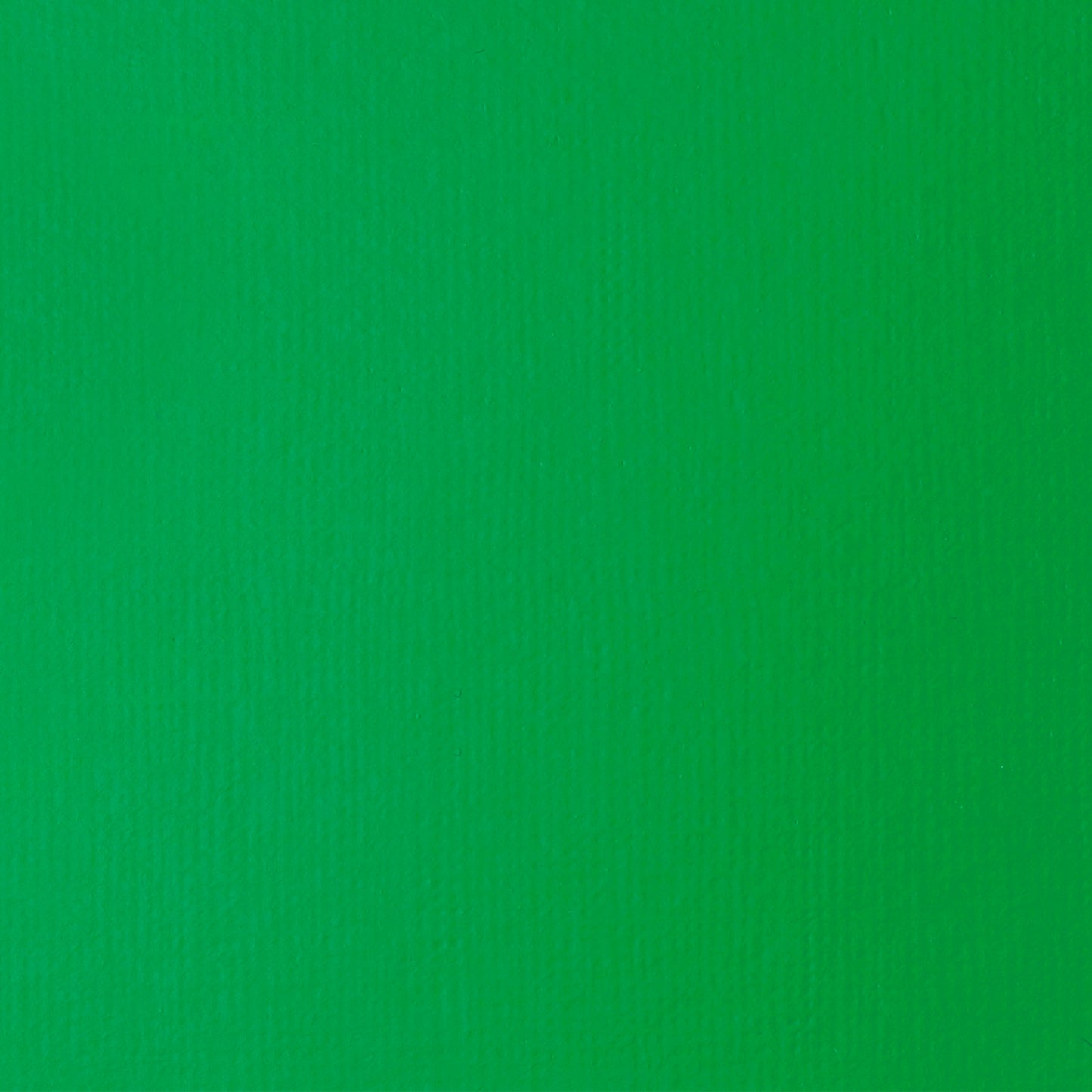 372447131.jpg