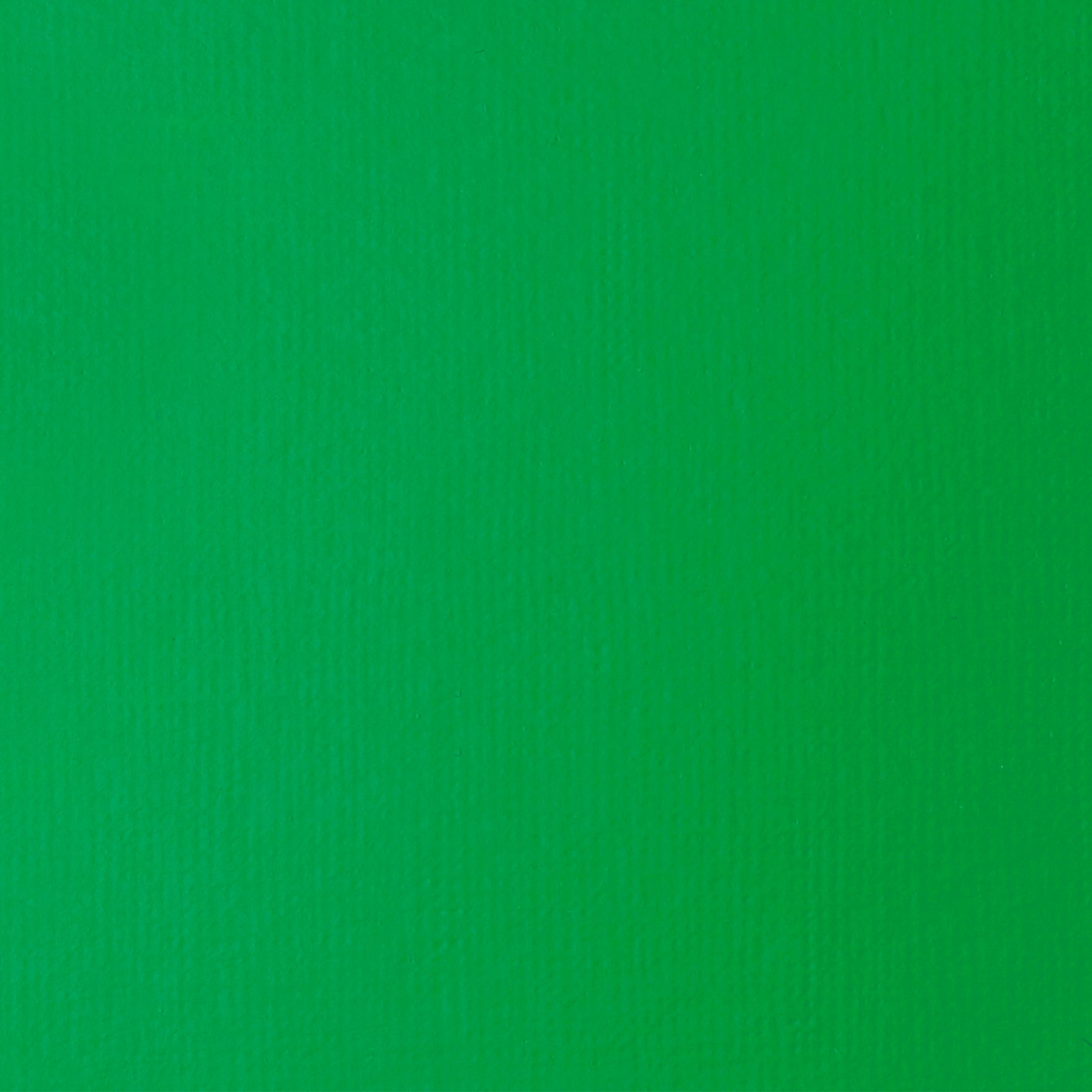372447131.jpg