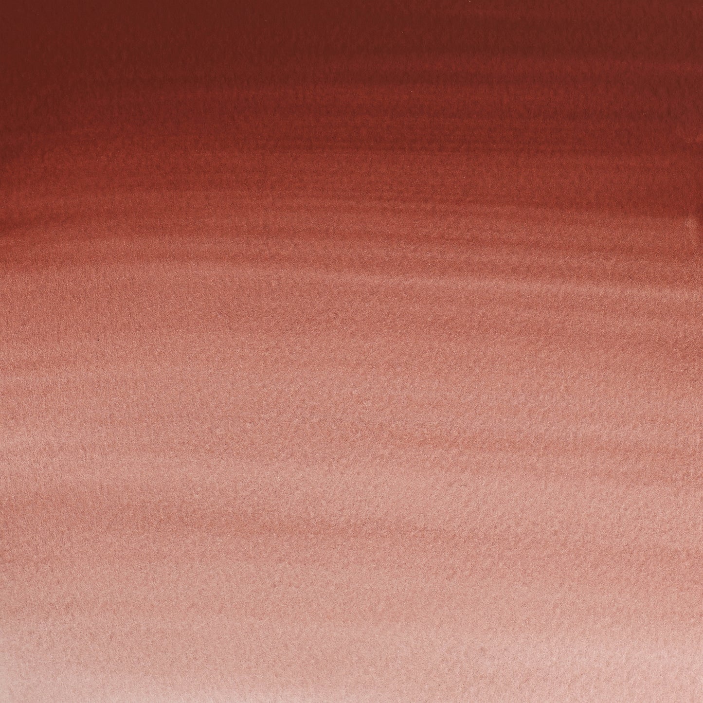 372447157.jpg