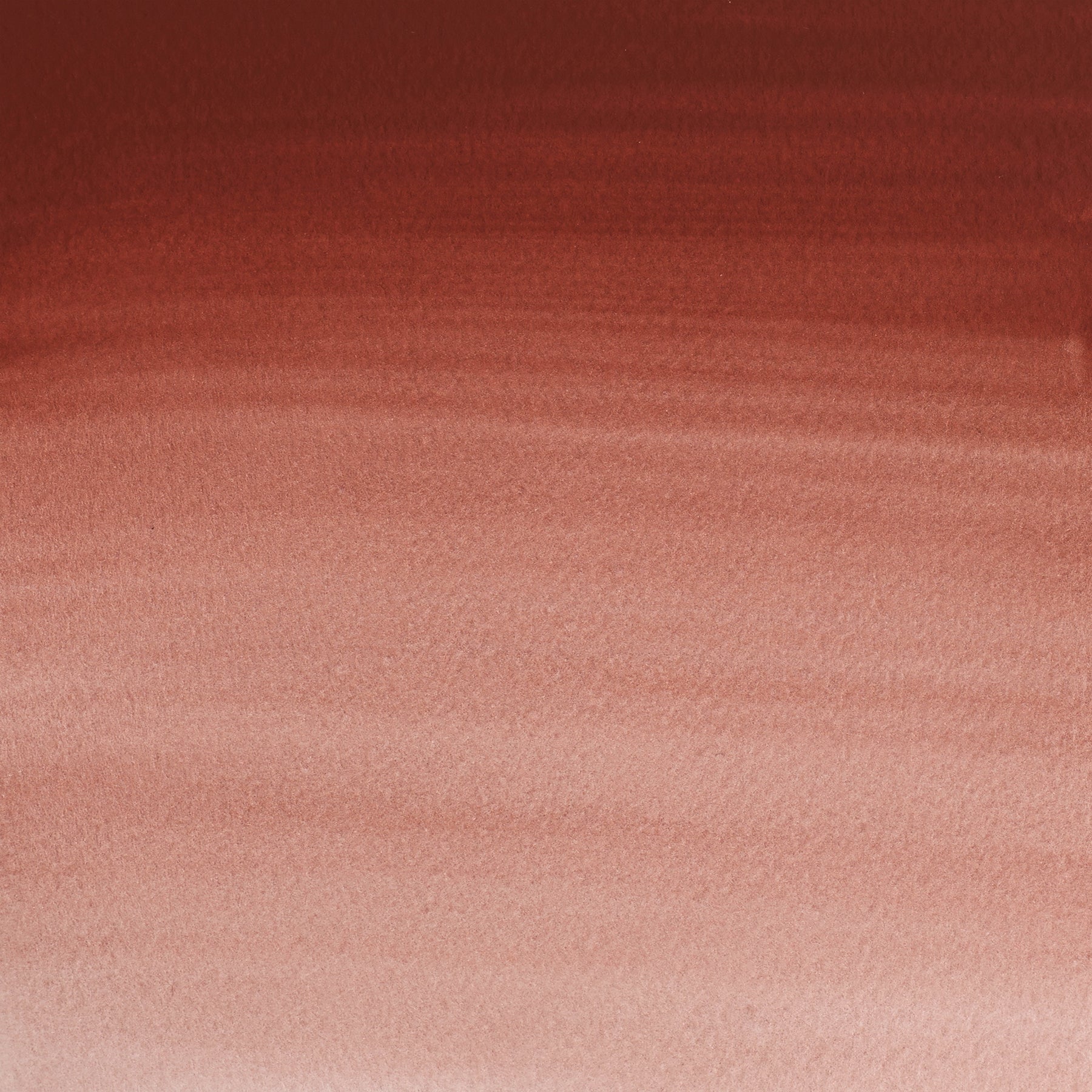 372447157.jpg