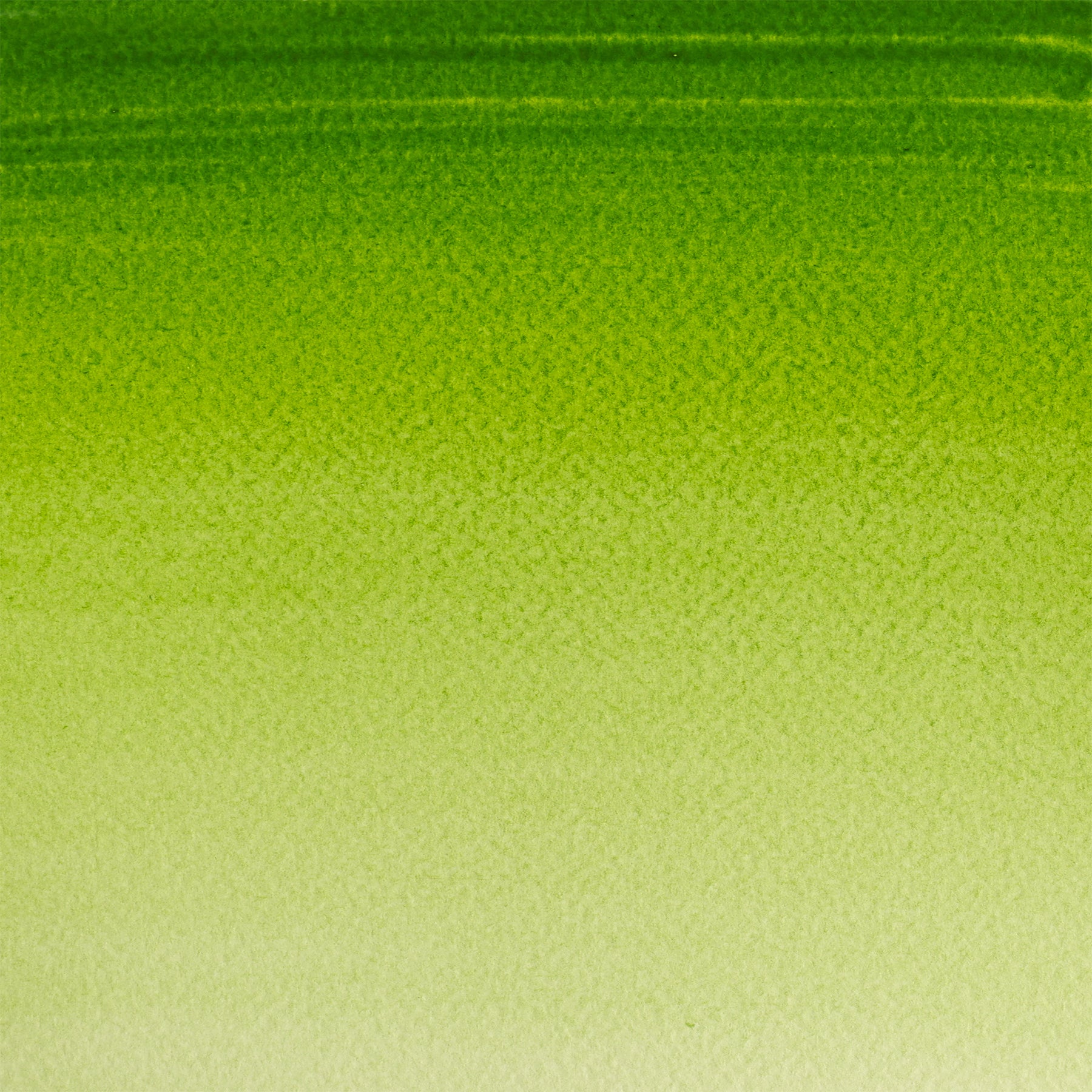 372447307.jpg