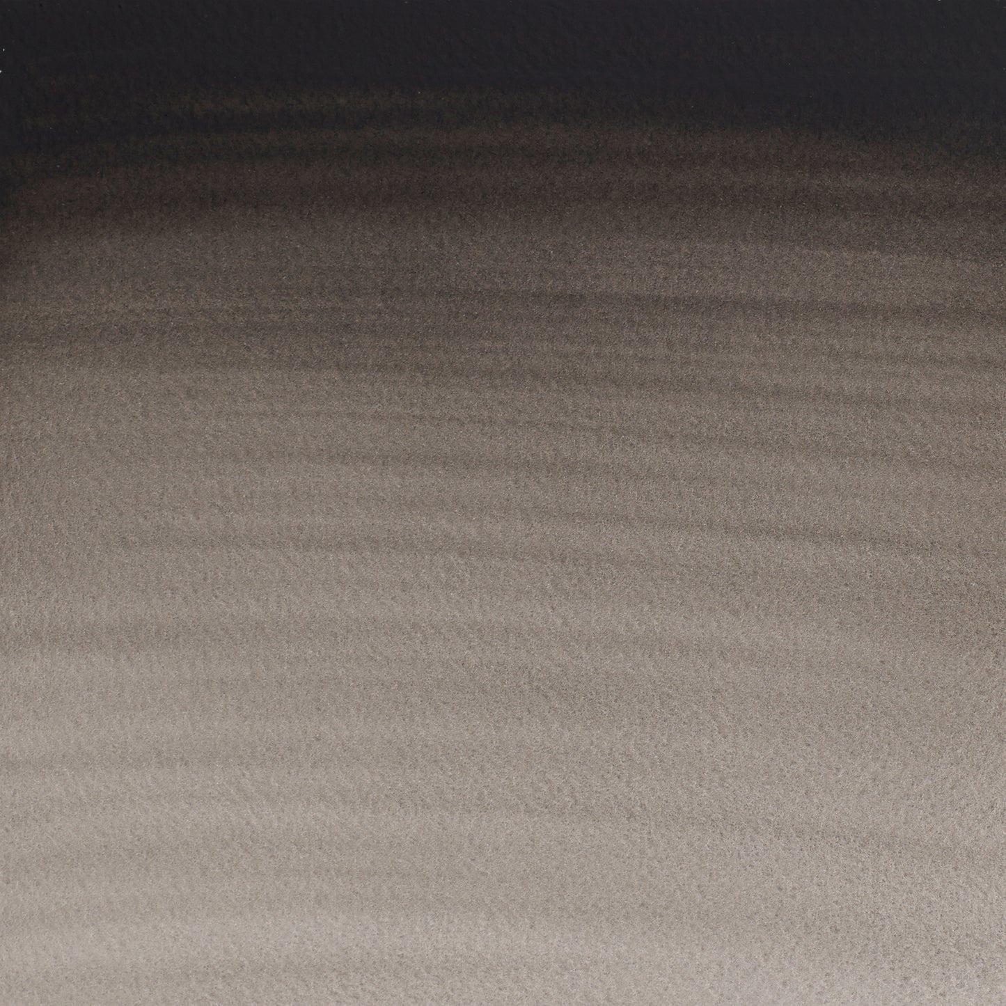 372447425.jpg