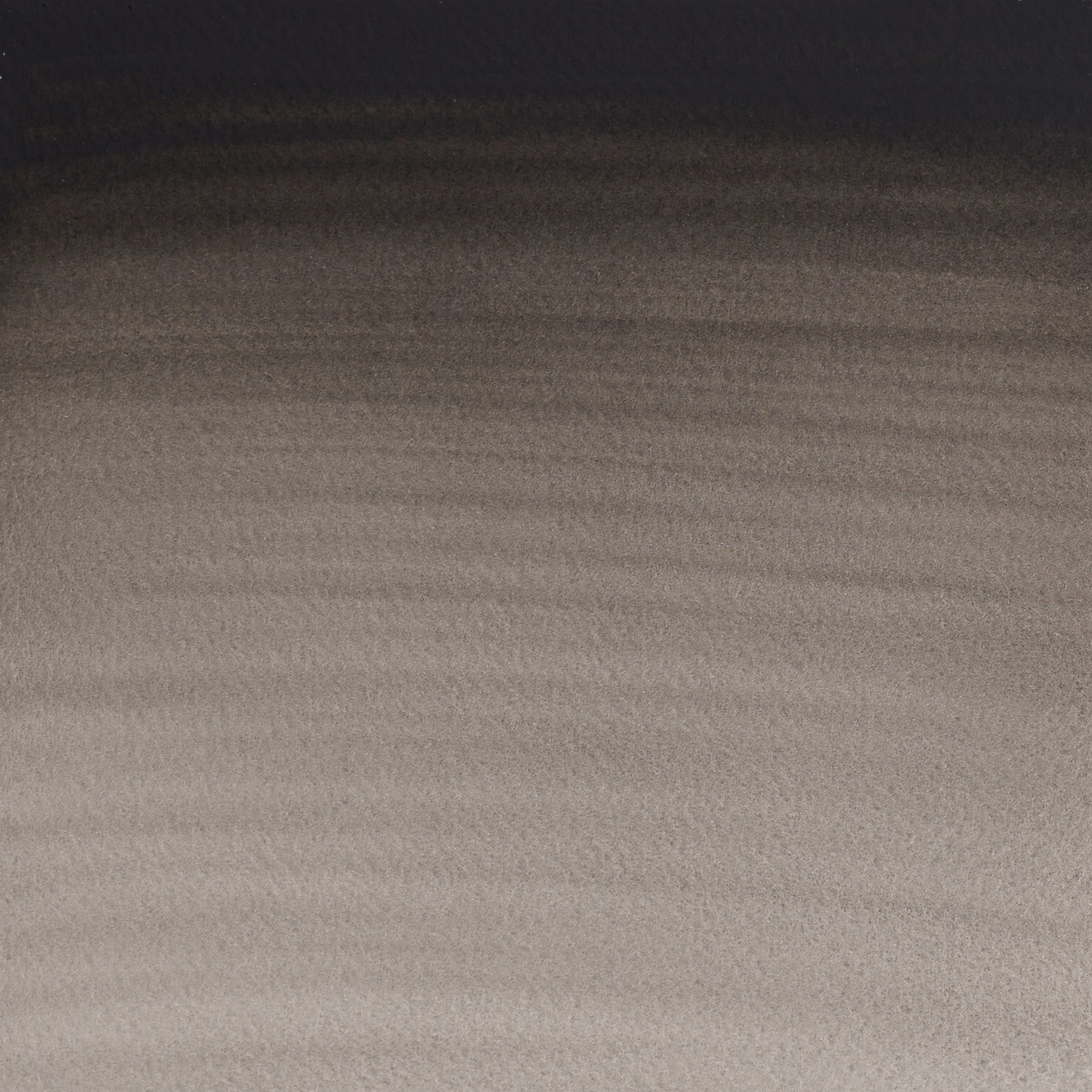 372447425.jpg