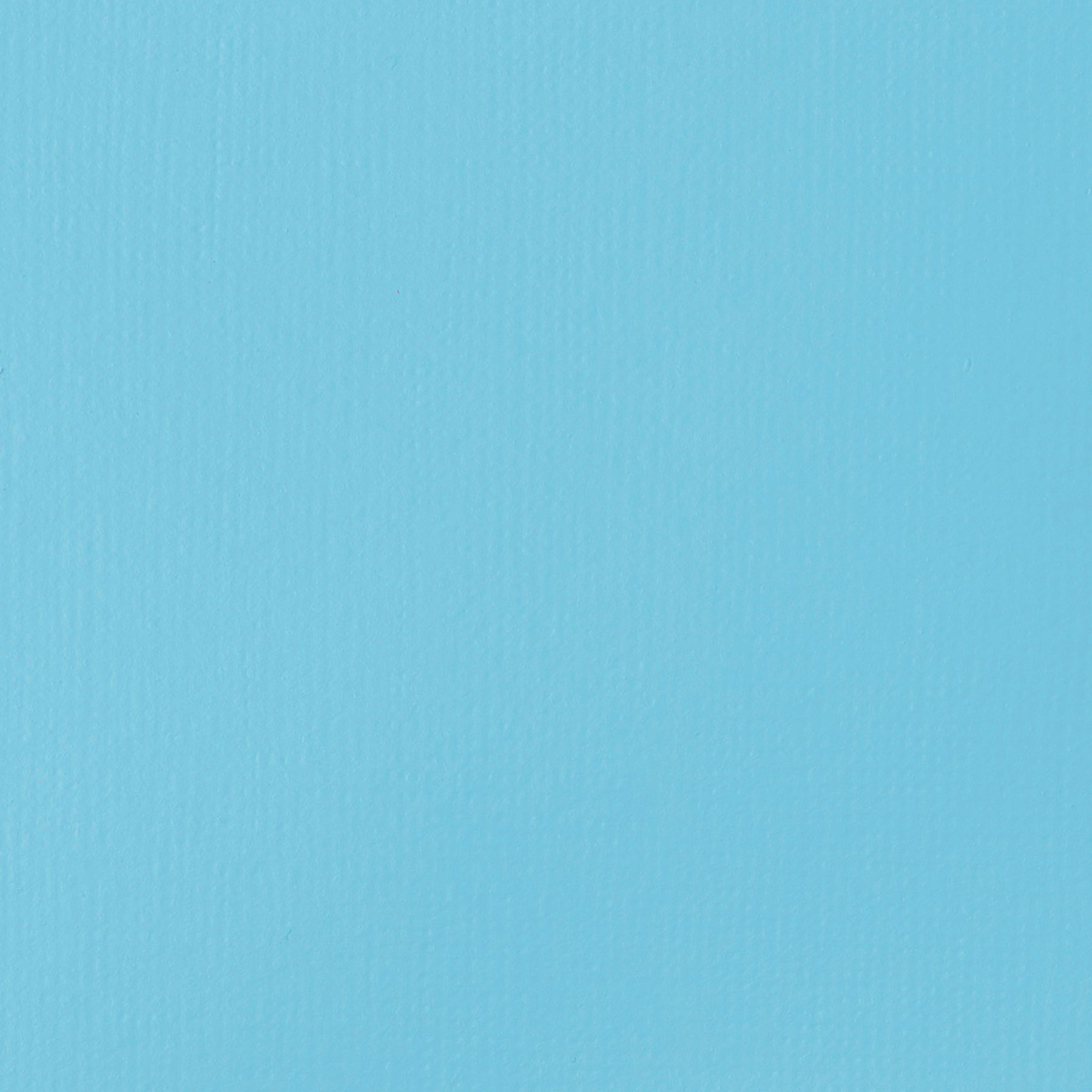 372447574.jpg