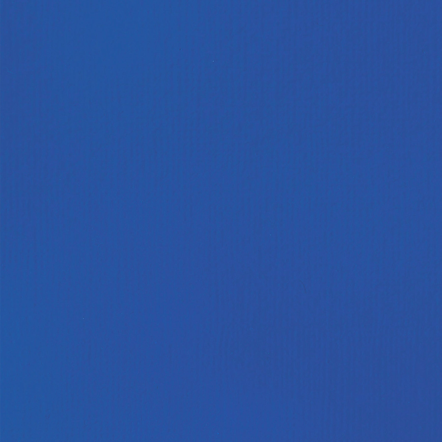 372447581.jpg