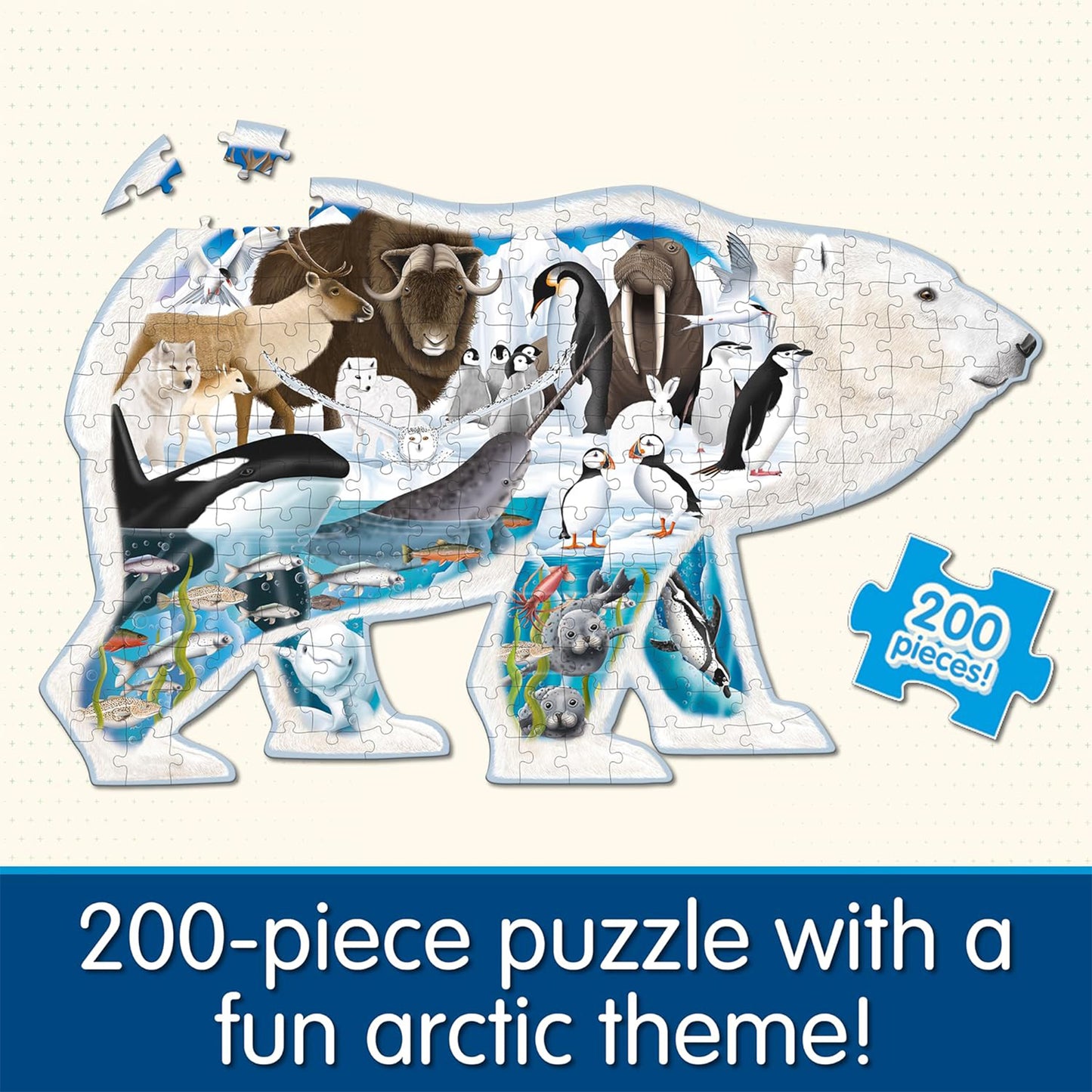 372447792.jpg