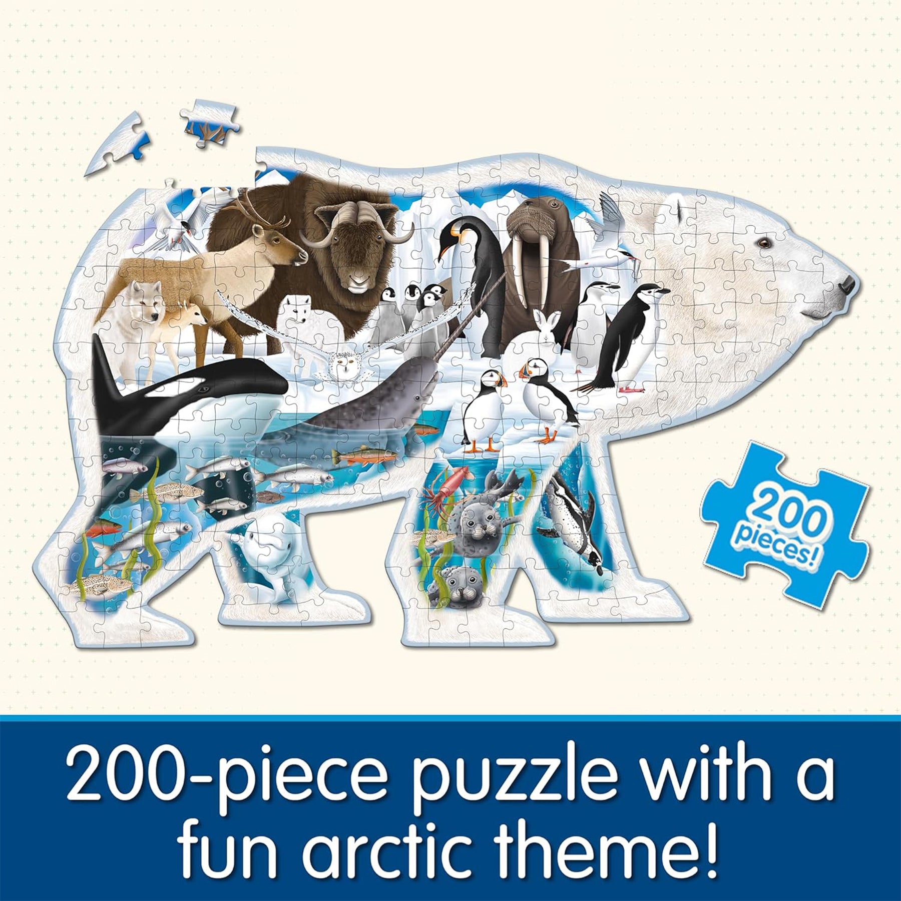 372447792.jpg