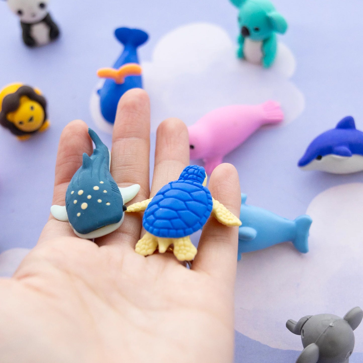 372449666.jpg
