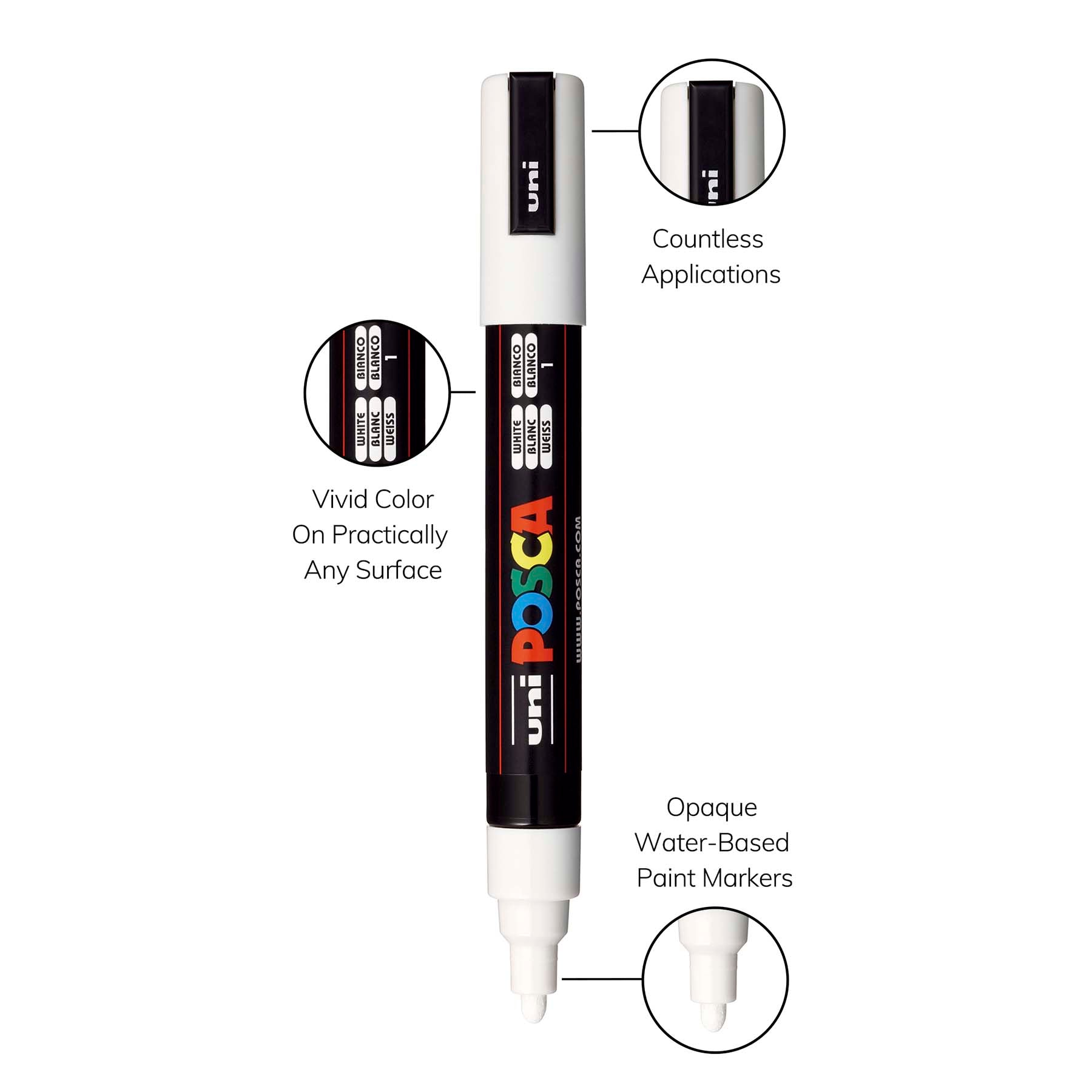 372449945.jpg