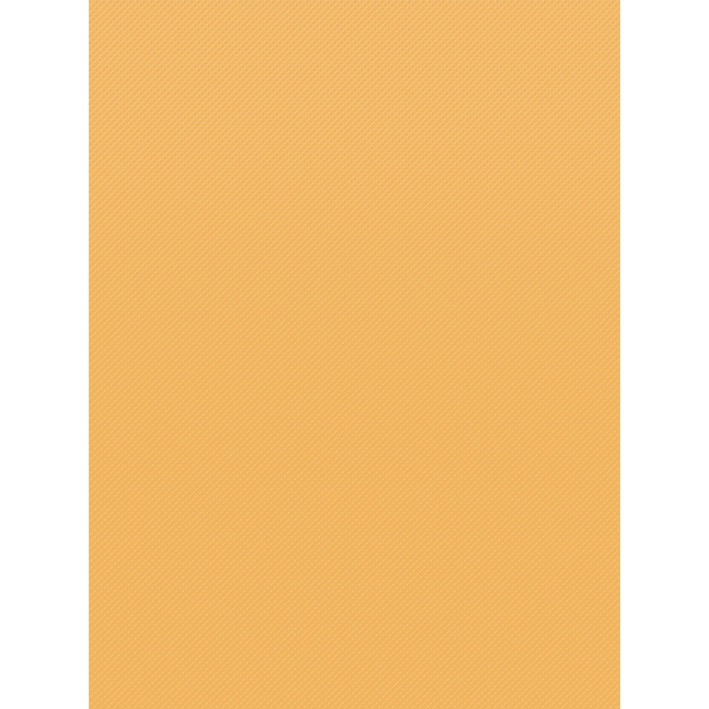372454942.jpg