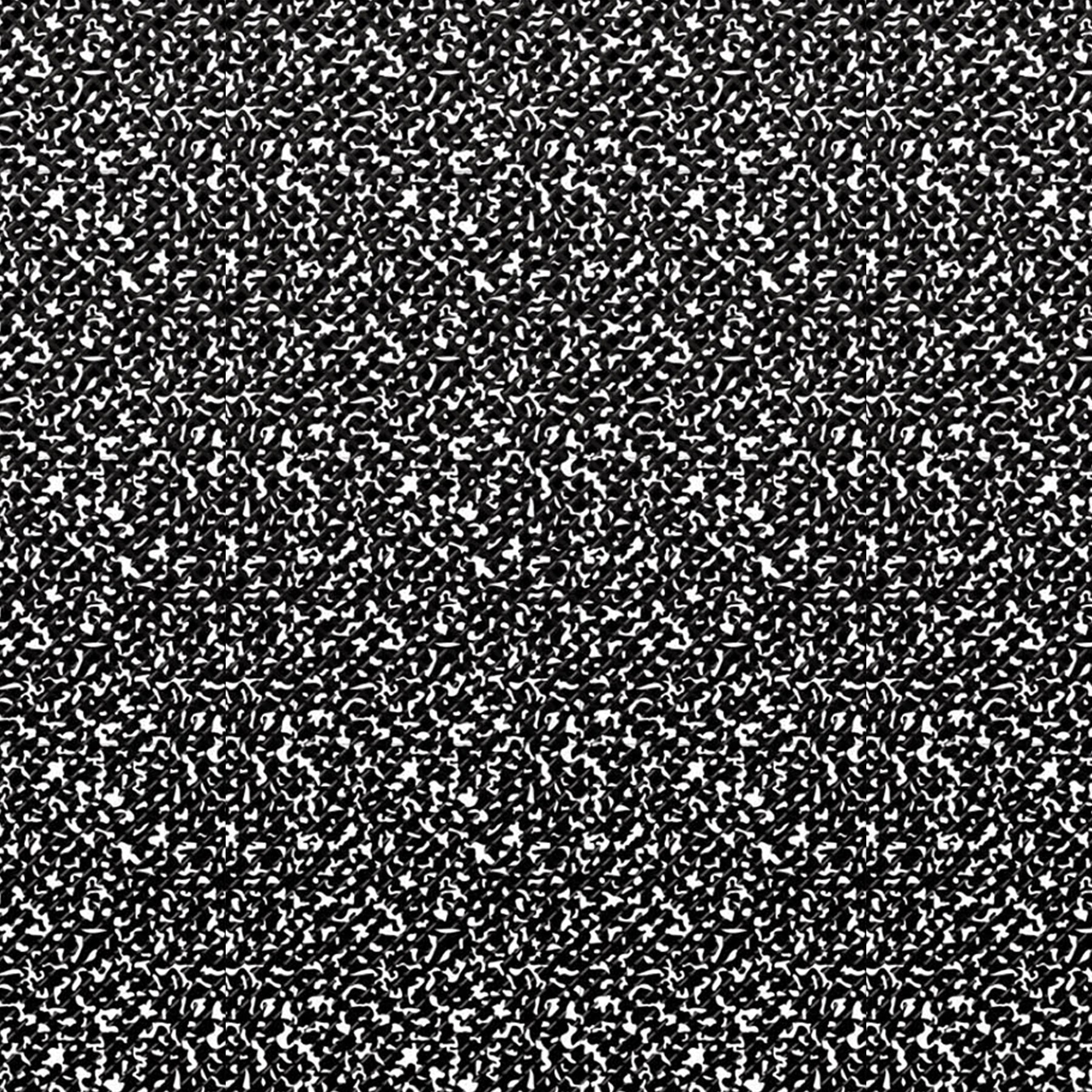 372456001.jpg