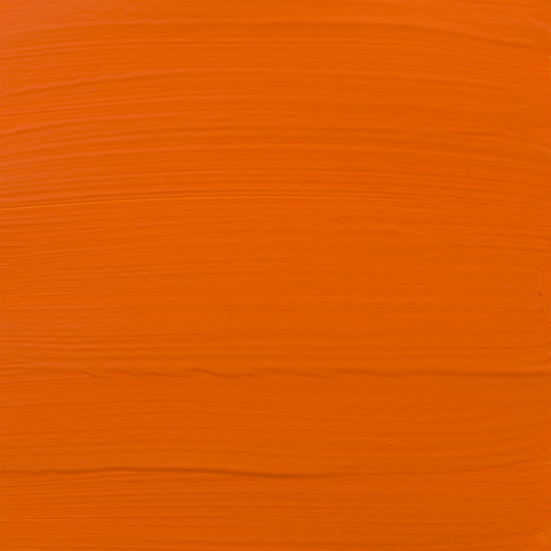 372456533.jpg