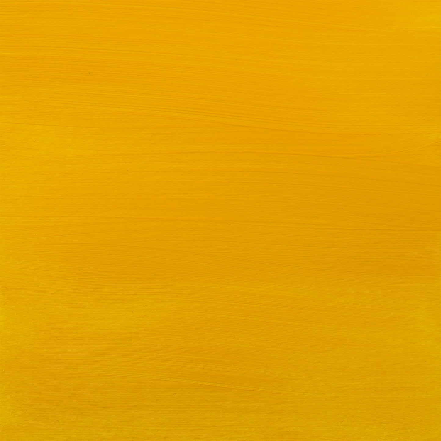 372457056.jpg