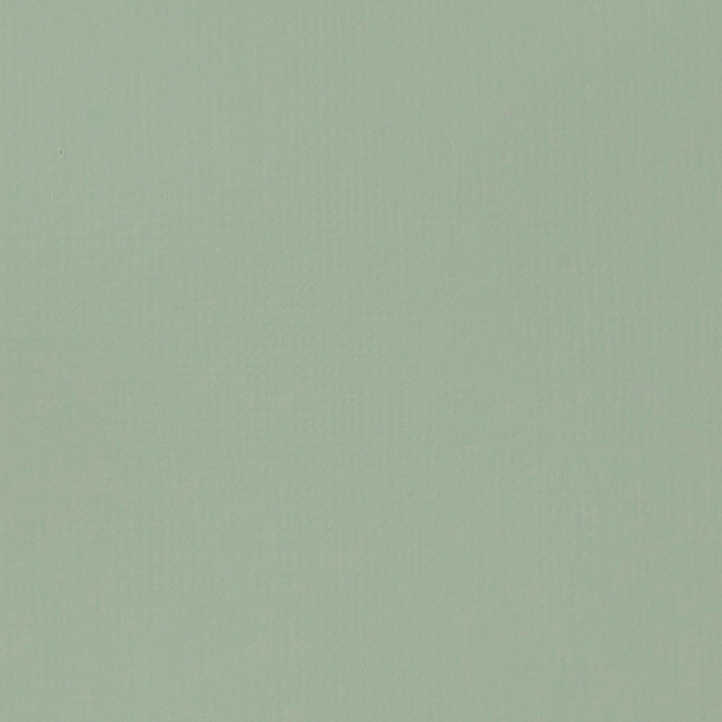 372457507.jpg