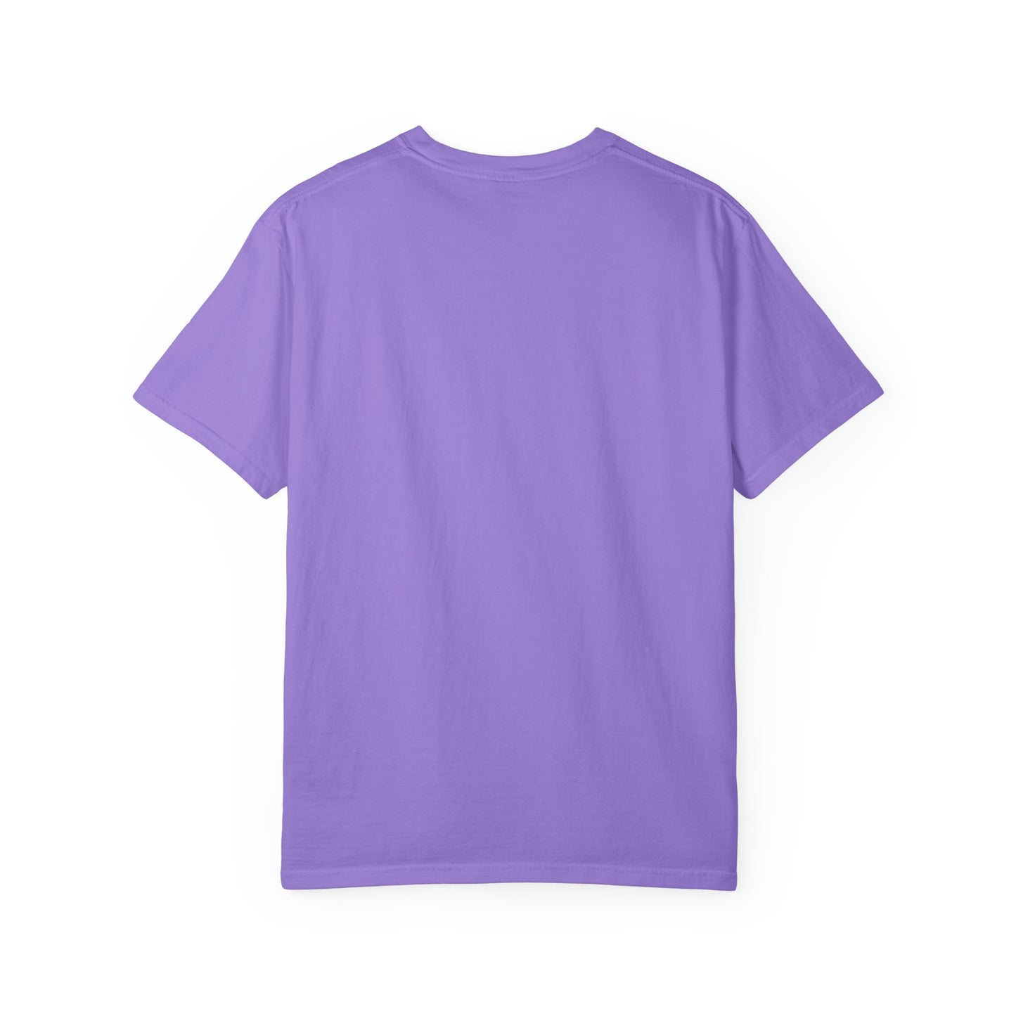 Alliance Foundation International Unisex Garment-Dyed T-shirt
