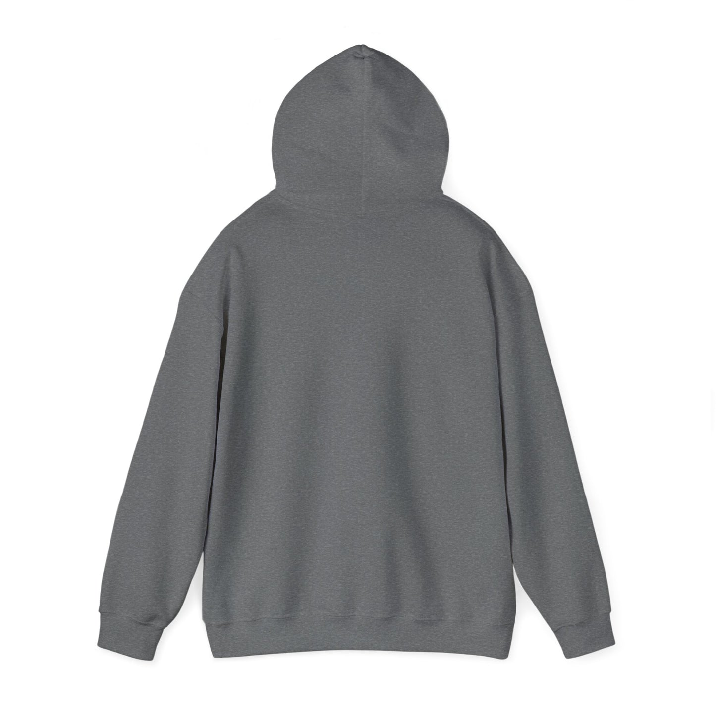 Aspen Academy Unisex Heavy Blend™ Hooded Sweatshirt