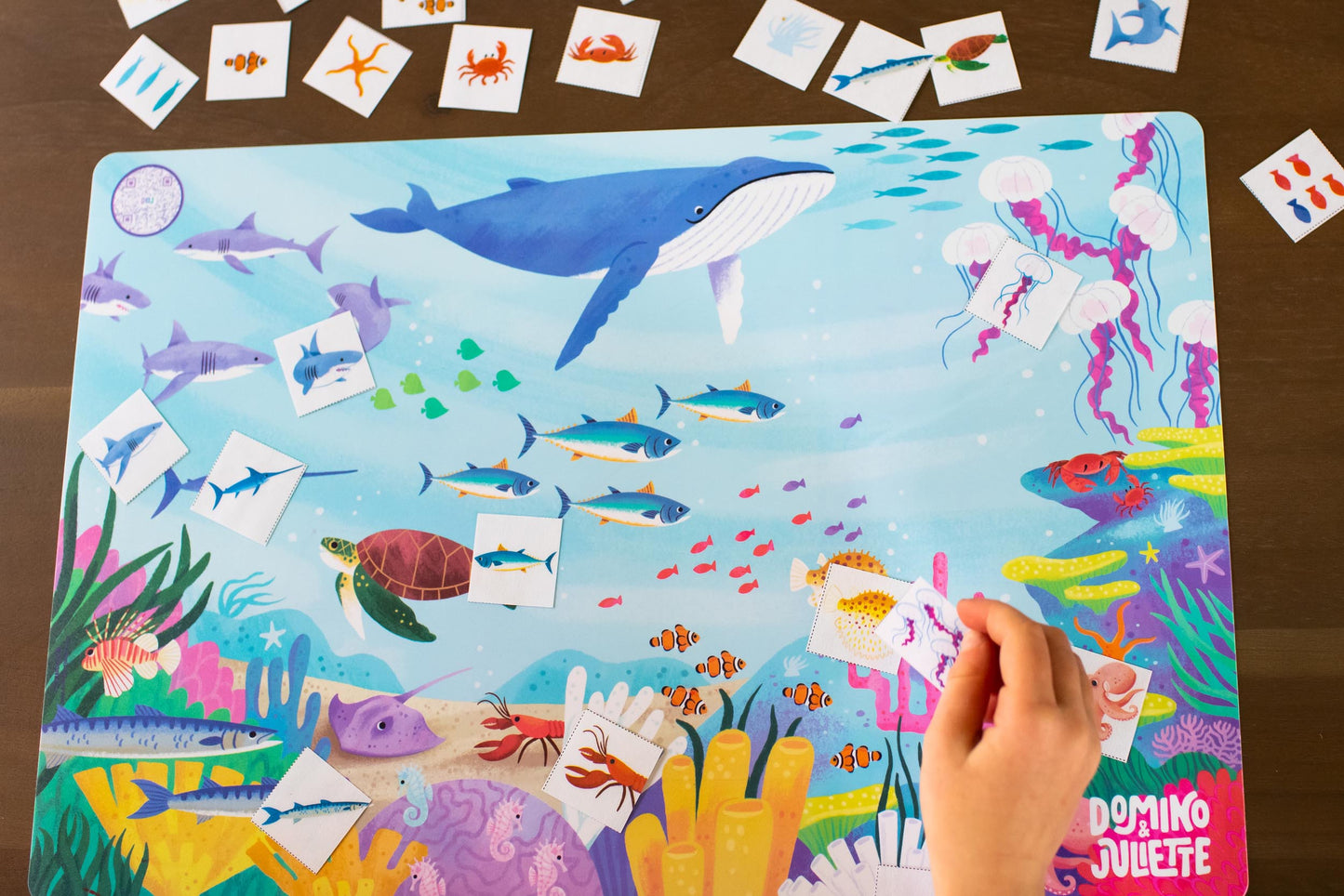 4-pack Toddler Placemat Bundle