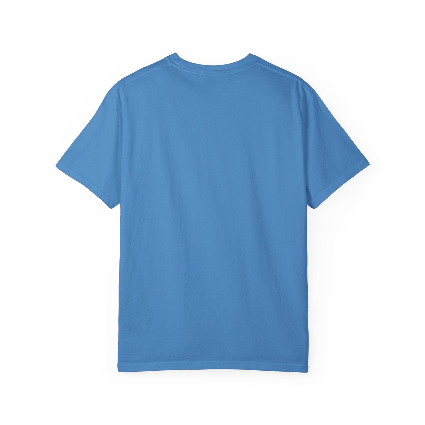 Alliance Foundation International Unisex Garment-Dyed T-shirt