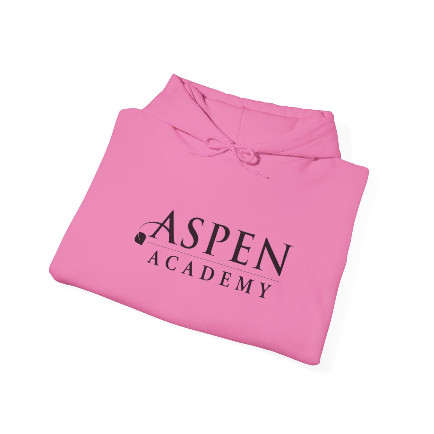 Aspen Academy Unisex Heavy Blend™ Hooded Sweatshirt