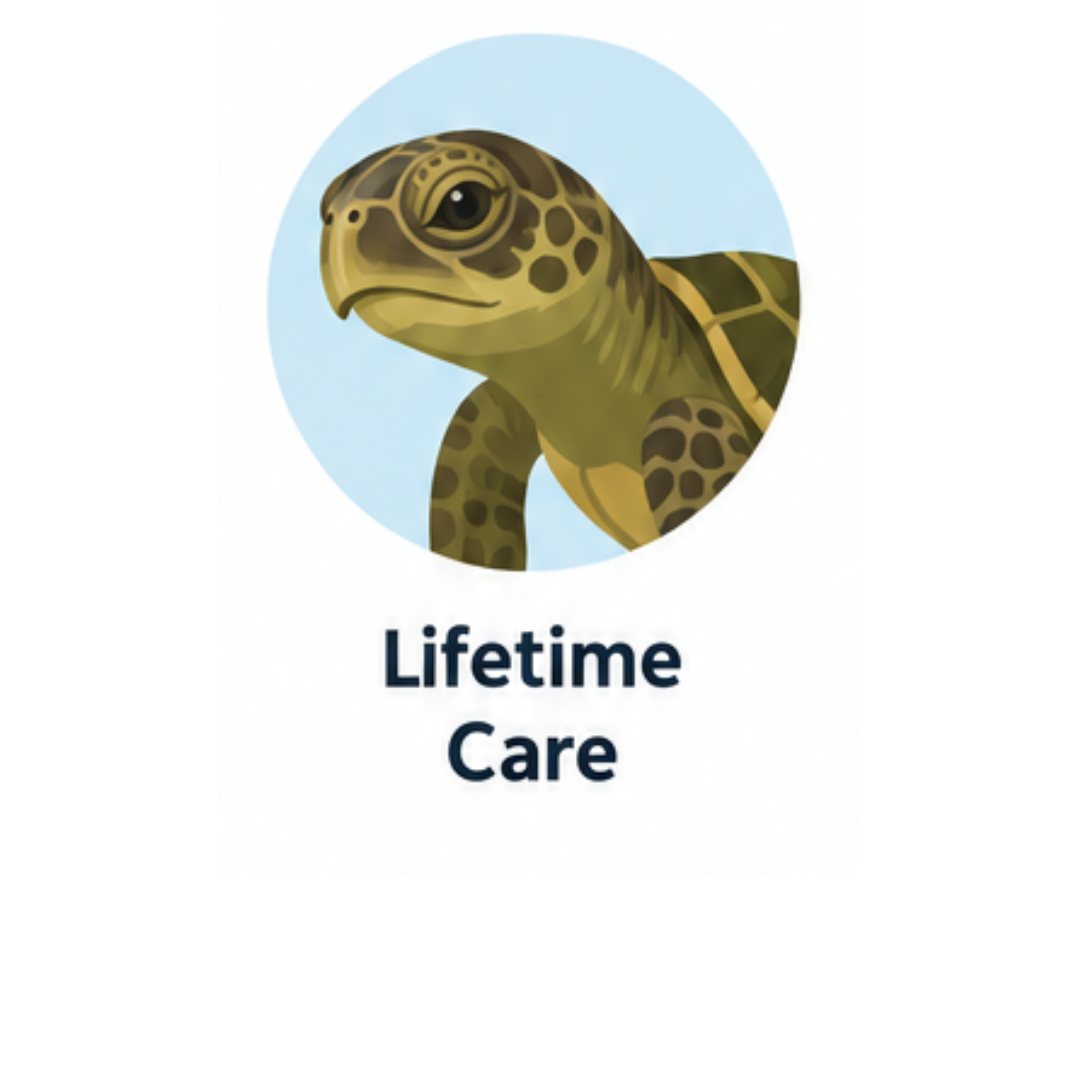 Lifetime Care