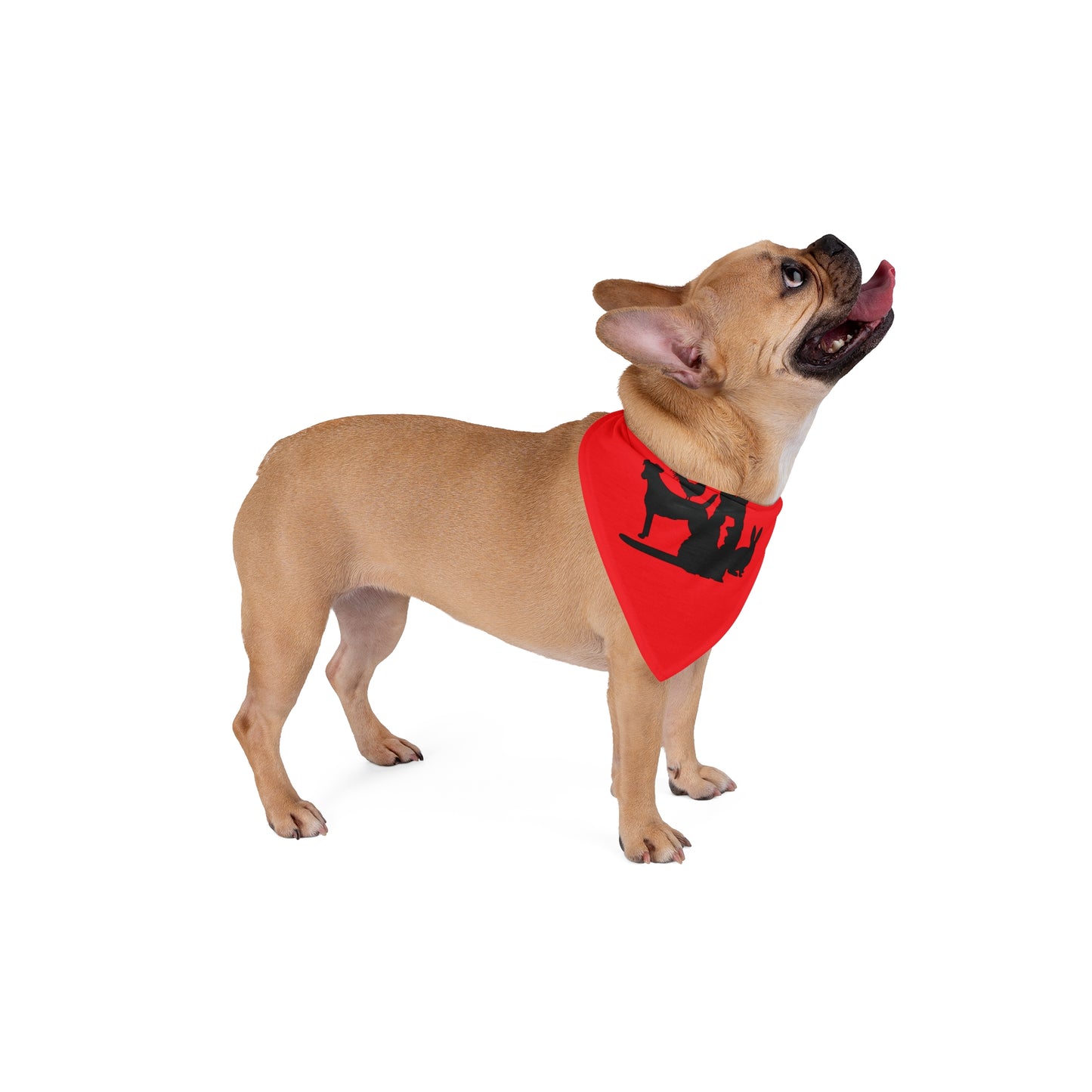 Lake Lowell Animal Rescue Pet Bandana