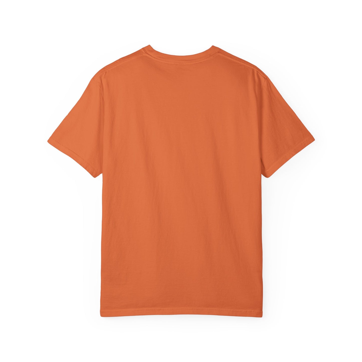 Alliance Foundation International Unisex Garment-Dyed T-shirt