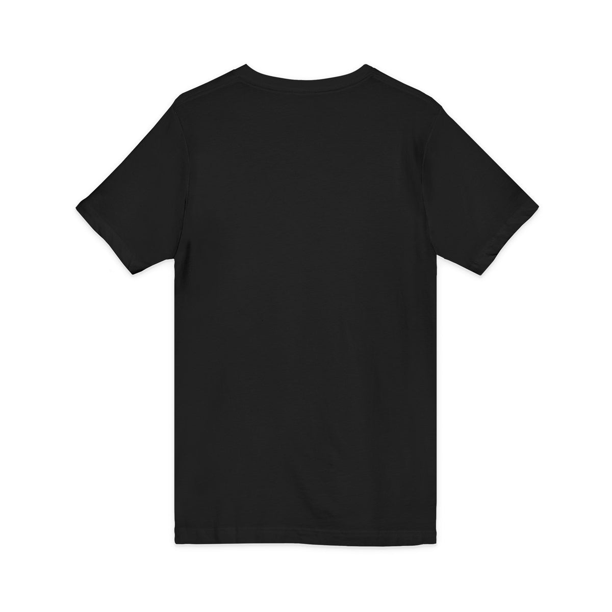 Blackbird Global Unisex Jersey Short Sleeve V-Neck Tee