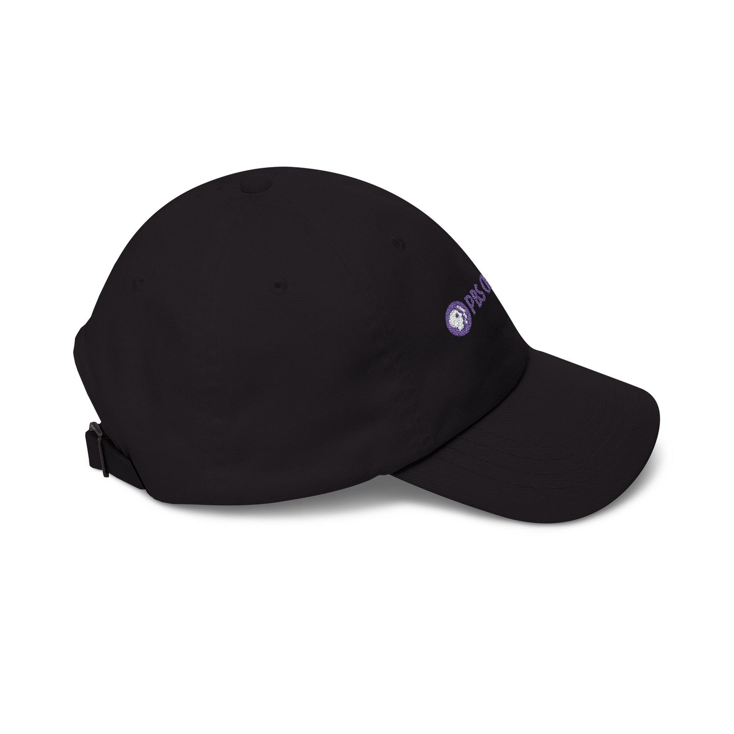 WTVI Classic Dad Cap