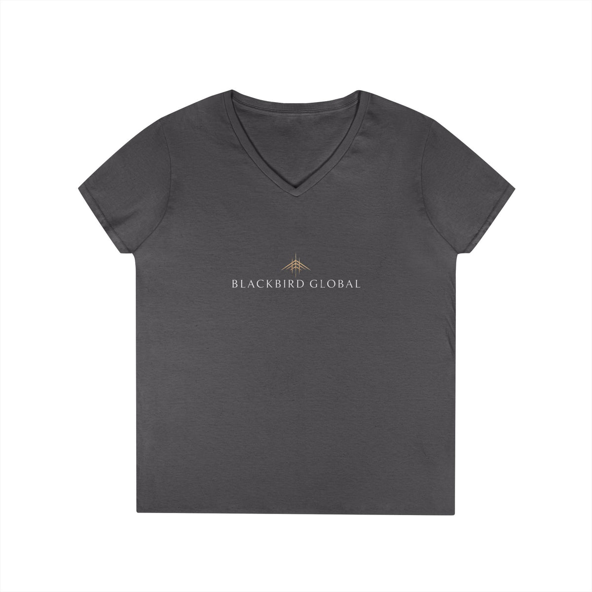 Blackbird Global Ladies' V-Neck T-Shirt