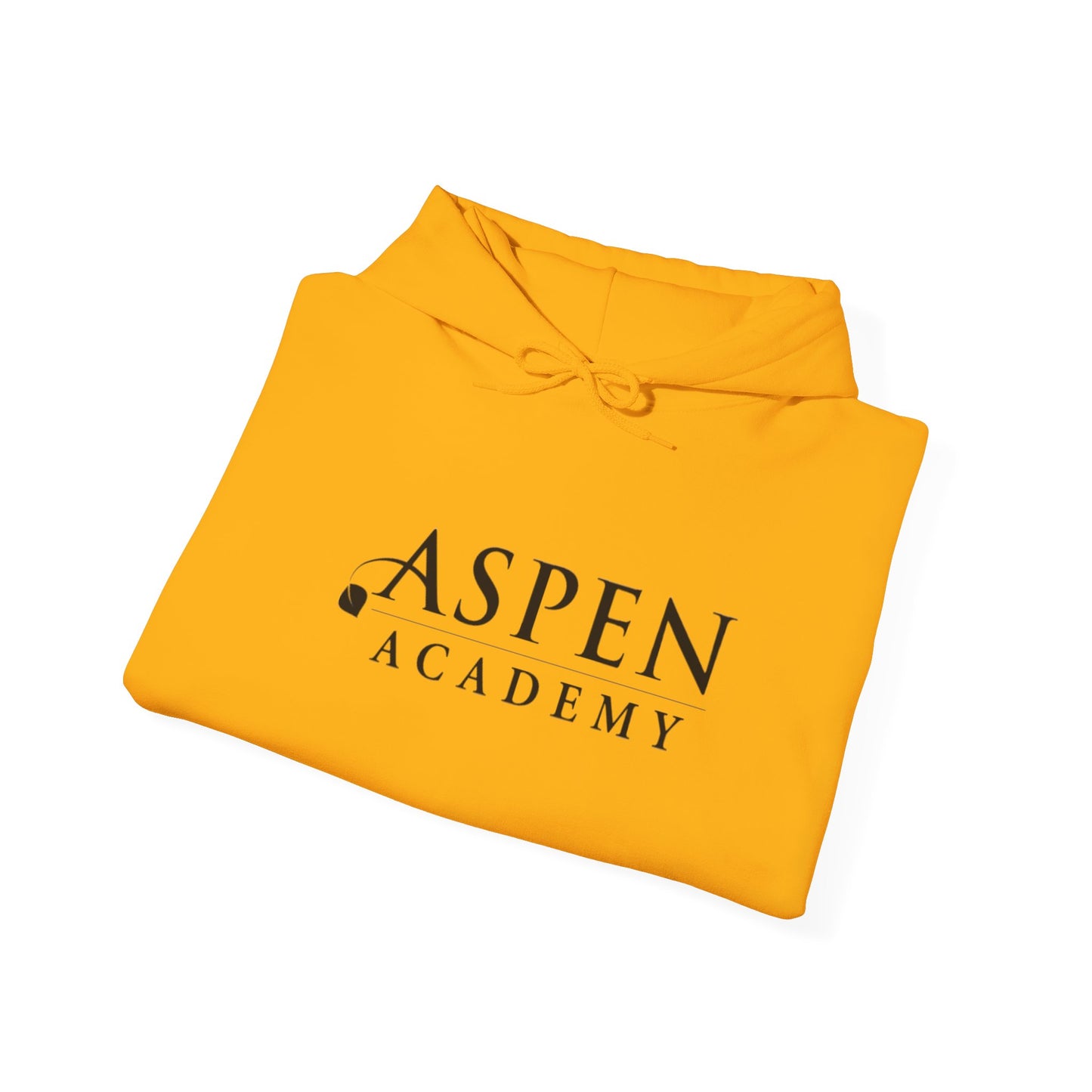 Aspen Academy Unisex Heavy Blend™ Hooded Sweatshirt