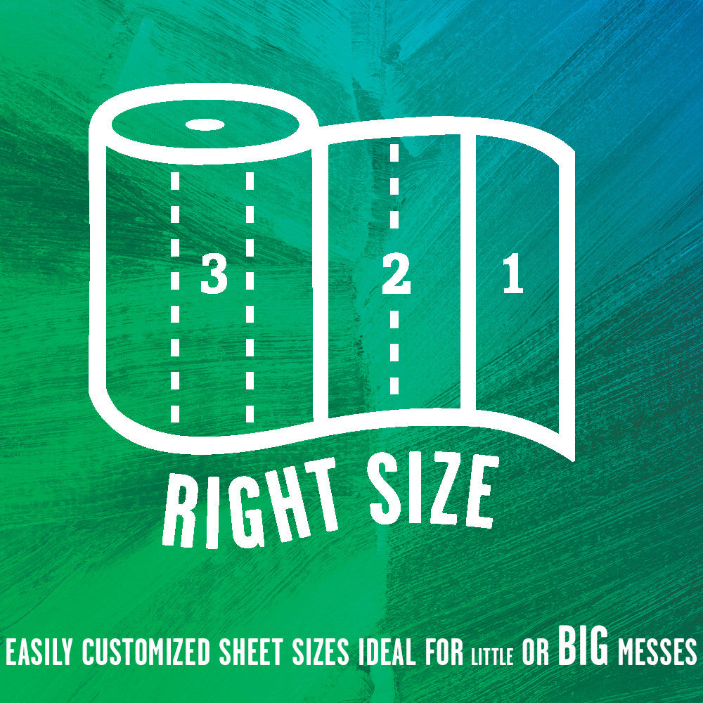 Seventh Generation Paper Towels,100% Recycled 140shts (12x2 CT)