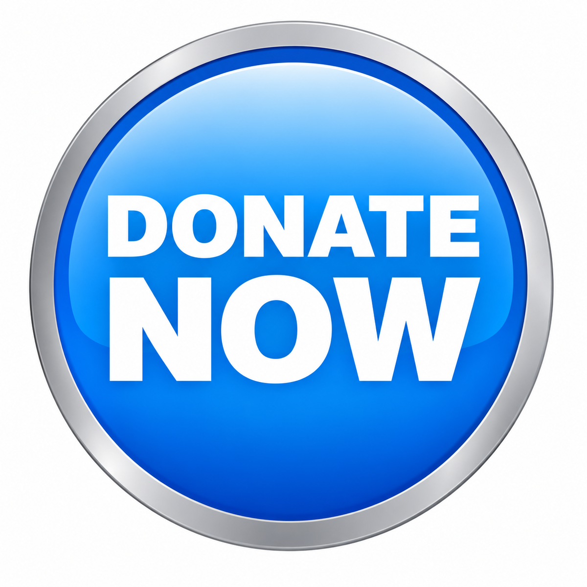 Donate $25, $50, $100, $250, $1K