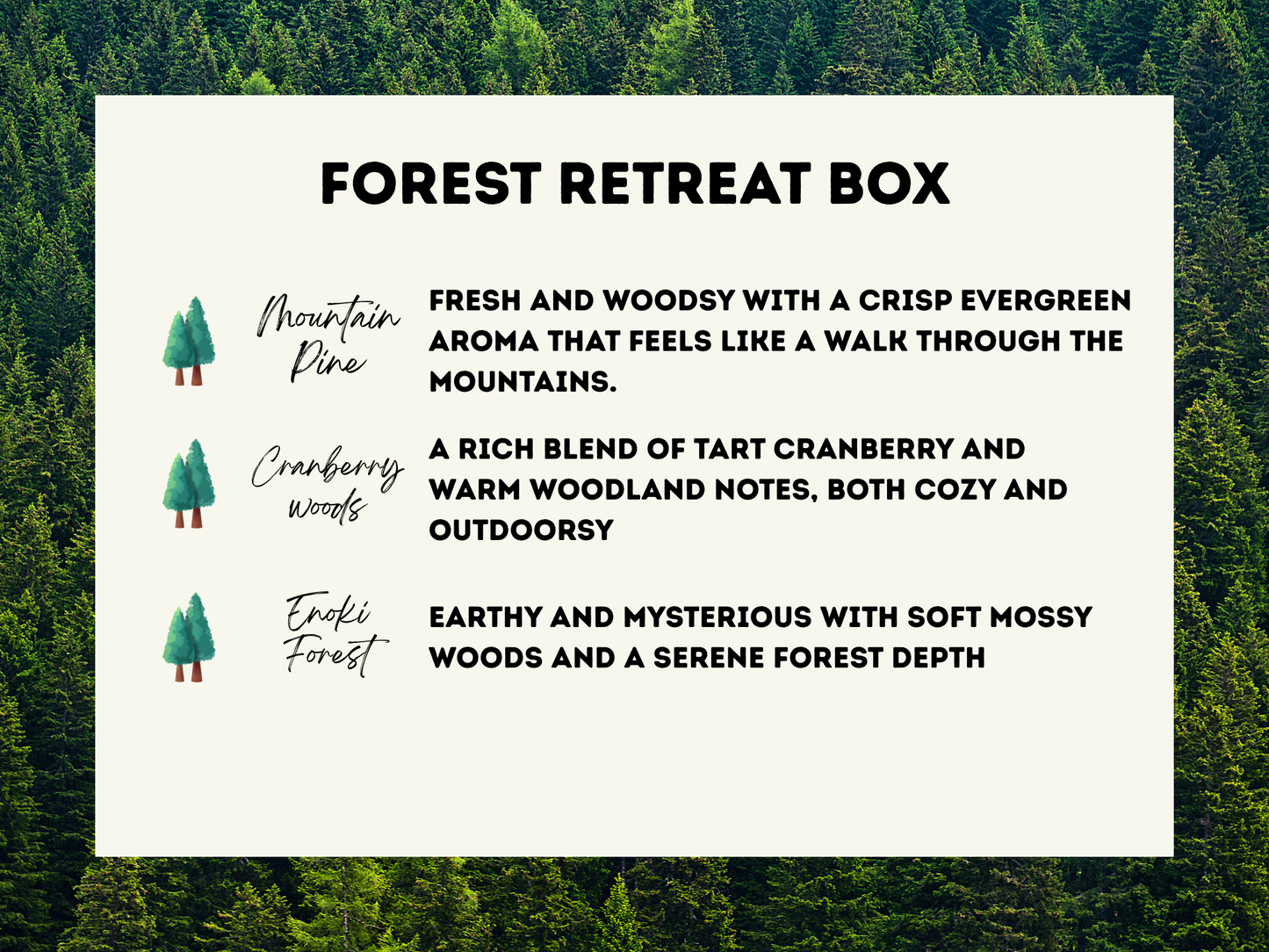 3-Pack Wax Melt Bundle - Wax Melt Trio Collection