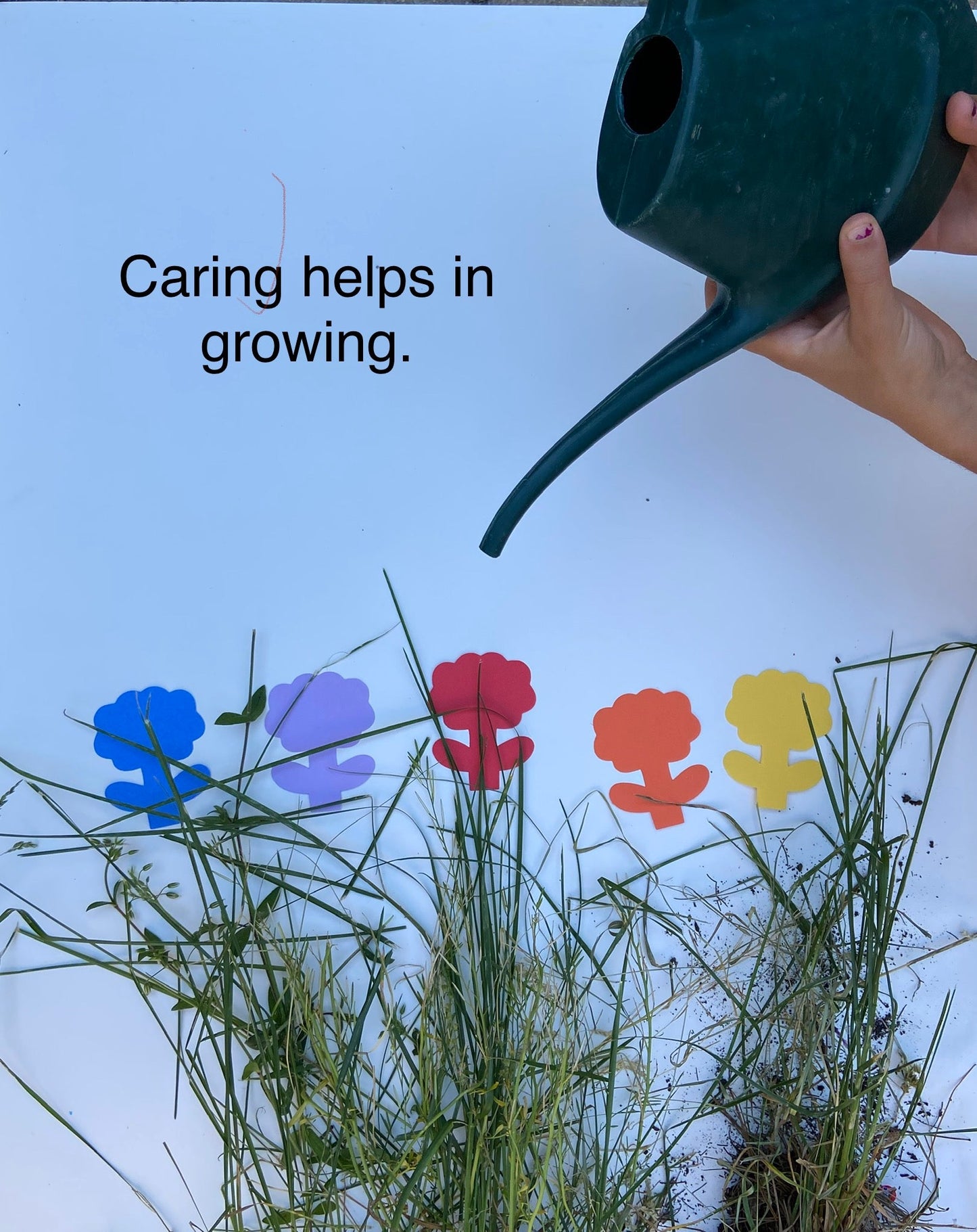 SHAPES ETC. Small Assorted Cut-Out - Flower