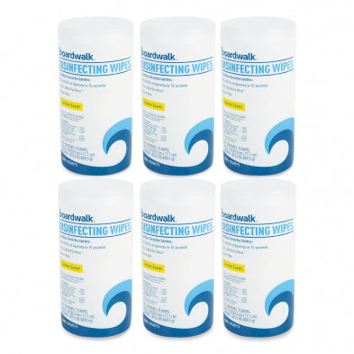 Disinfecting Wipes (6 canisters)