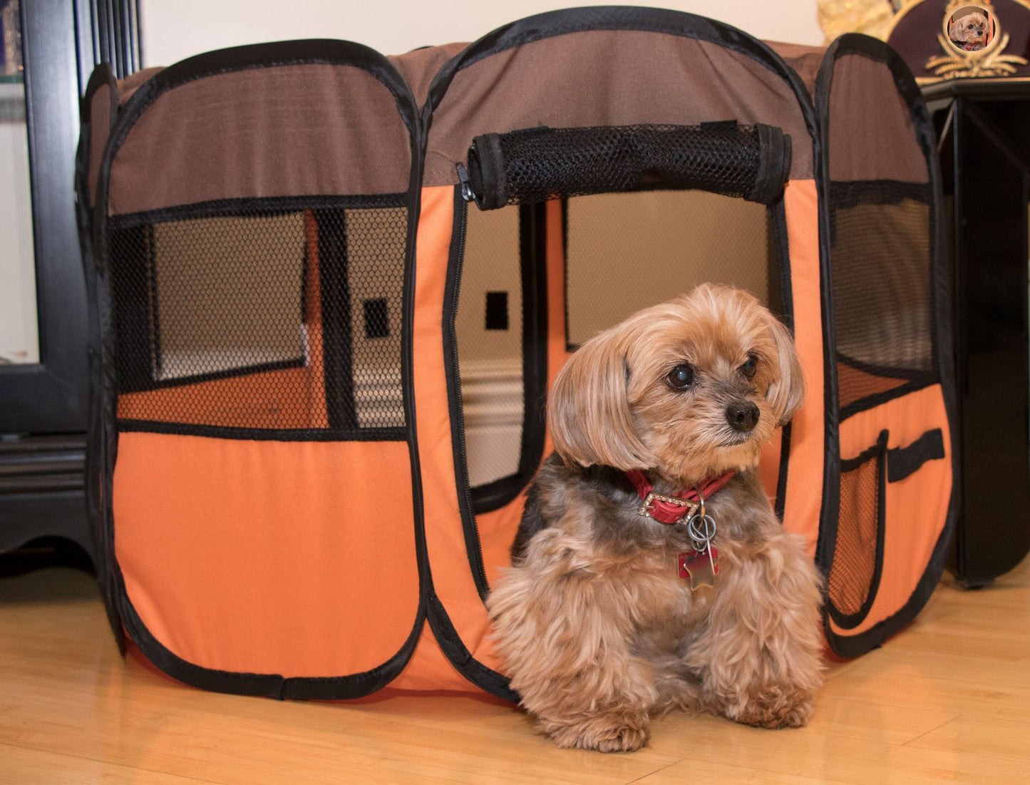 All-Terrain' Lightweight Easy Folding Wire-Framed Collapsible Travel Pet Playpen