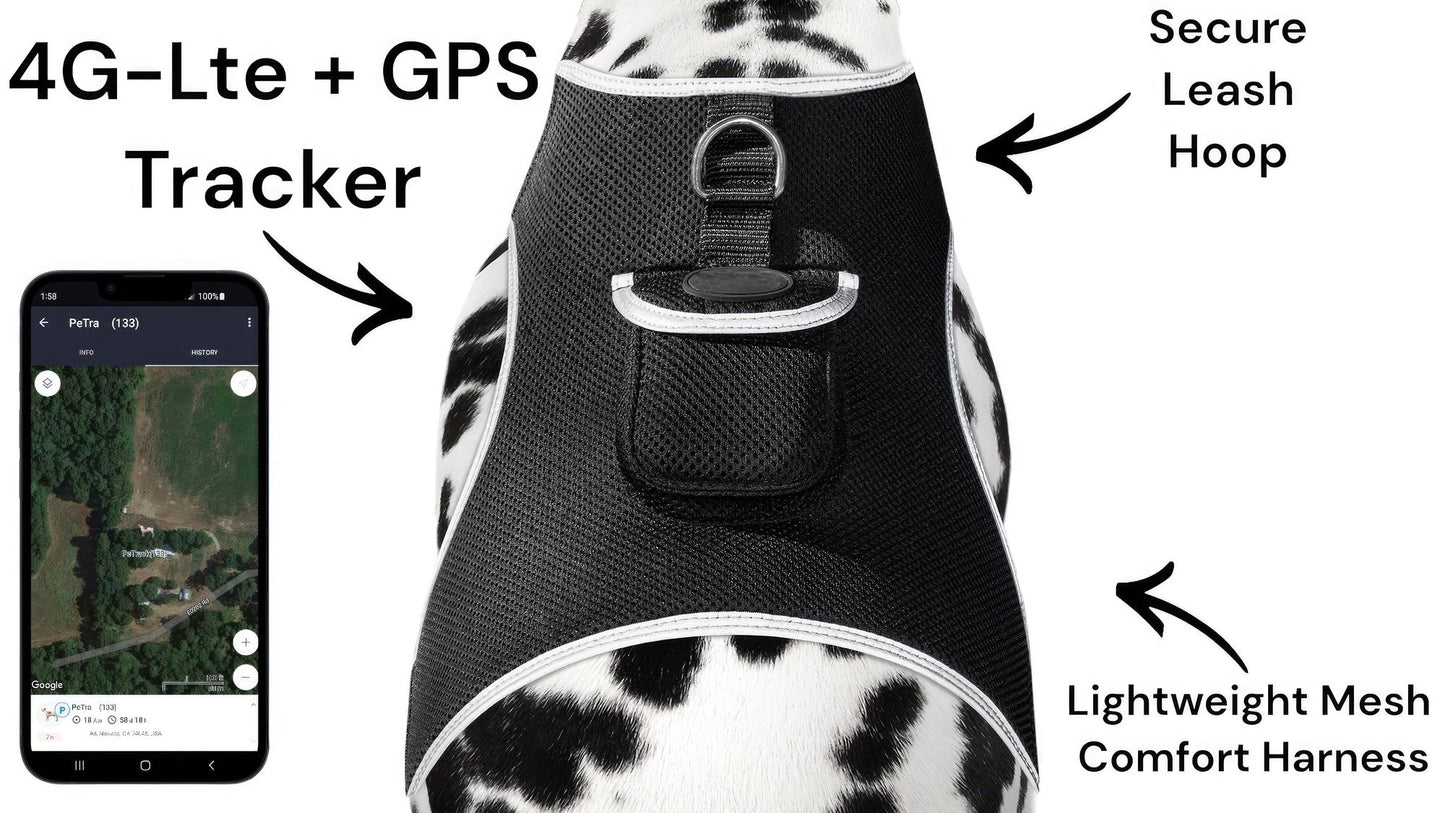 Mini Waterproof GPS Tracking Collars for Hunting Dogs w/ Tracking App Size:S