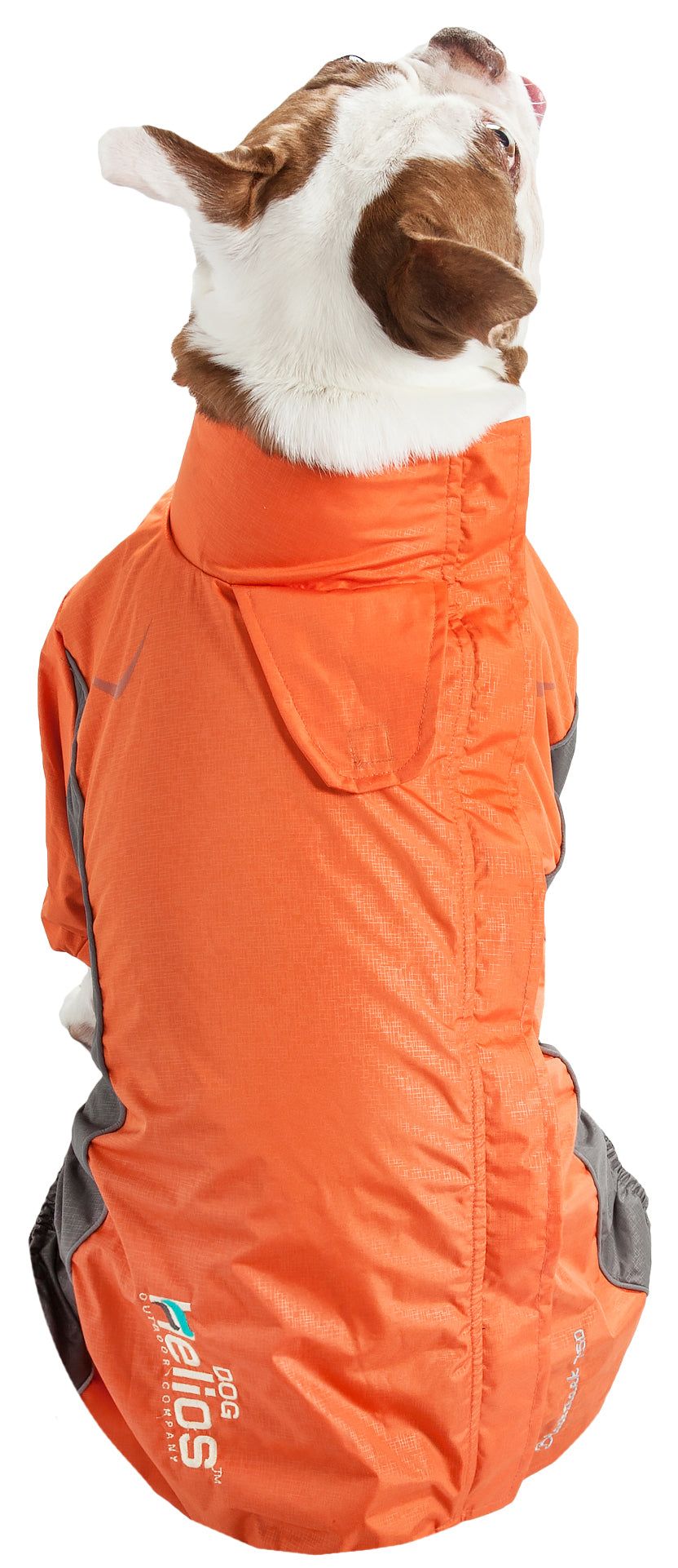 Helios Blizzard Full-Bodied Adjustable and 3M Reflective Dog Jacket