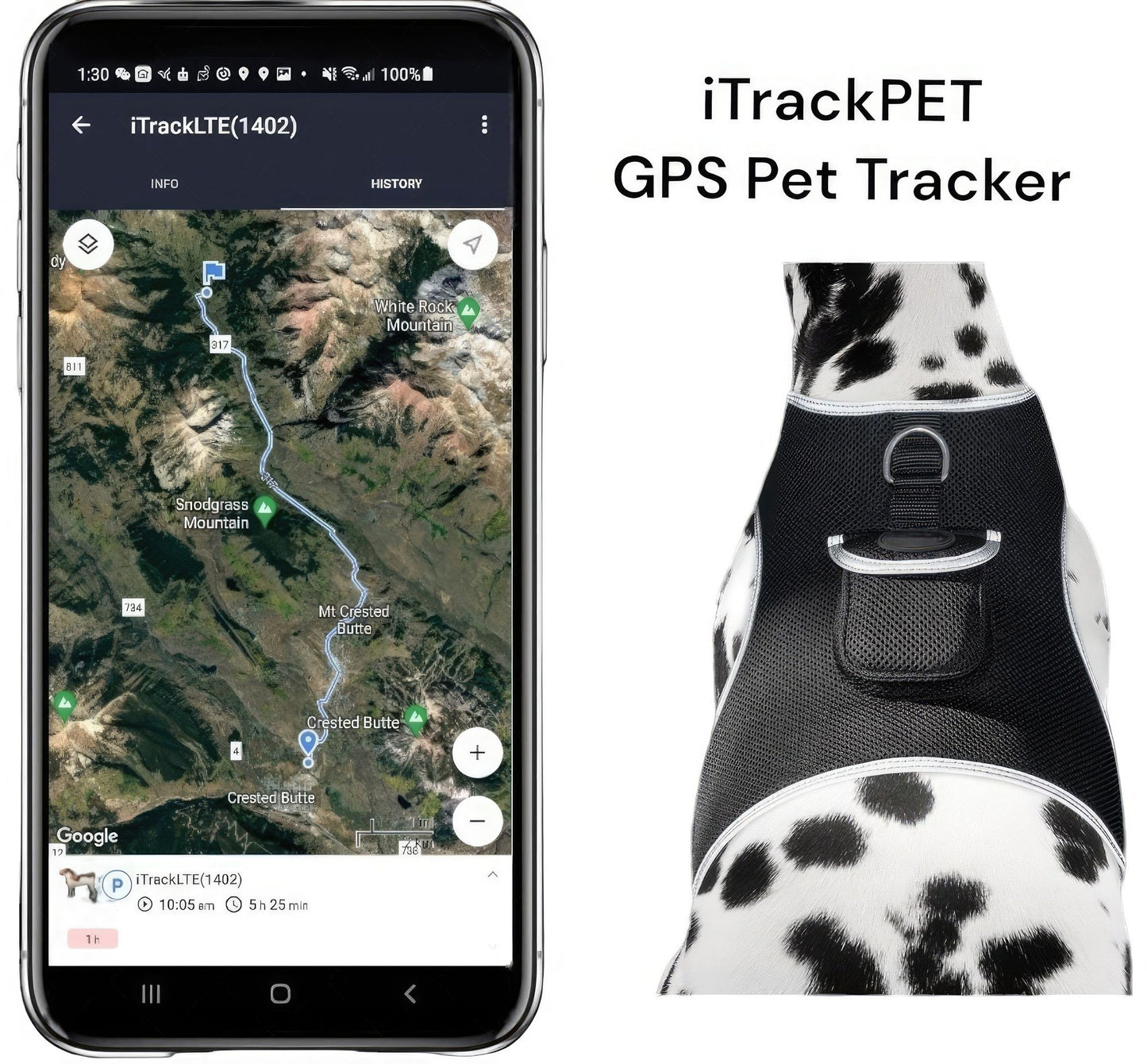 Dog Cat Pet Protection Consistent Locator Animal GPS Tracker NEW Size:M