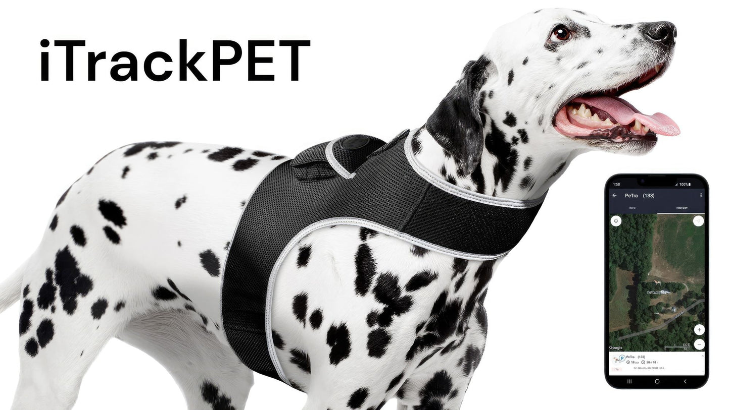 NEW Dog Tracker Device Collar Mount Waterproof Portable GPS Pet Finder Size:M