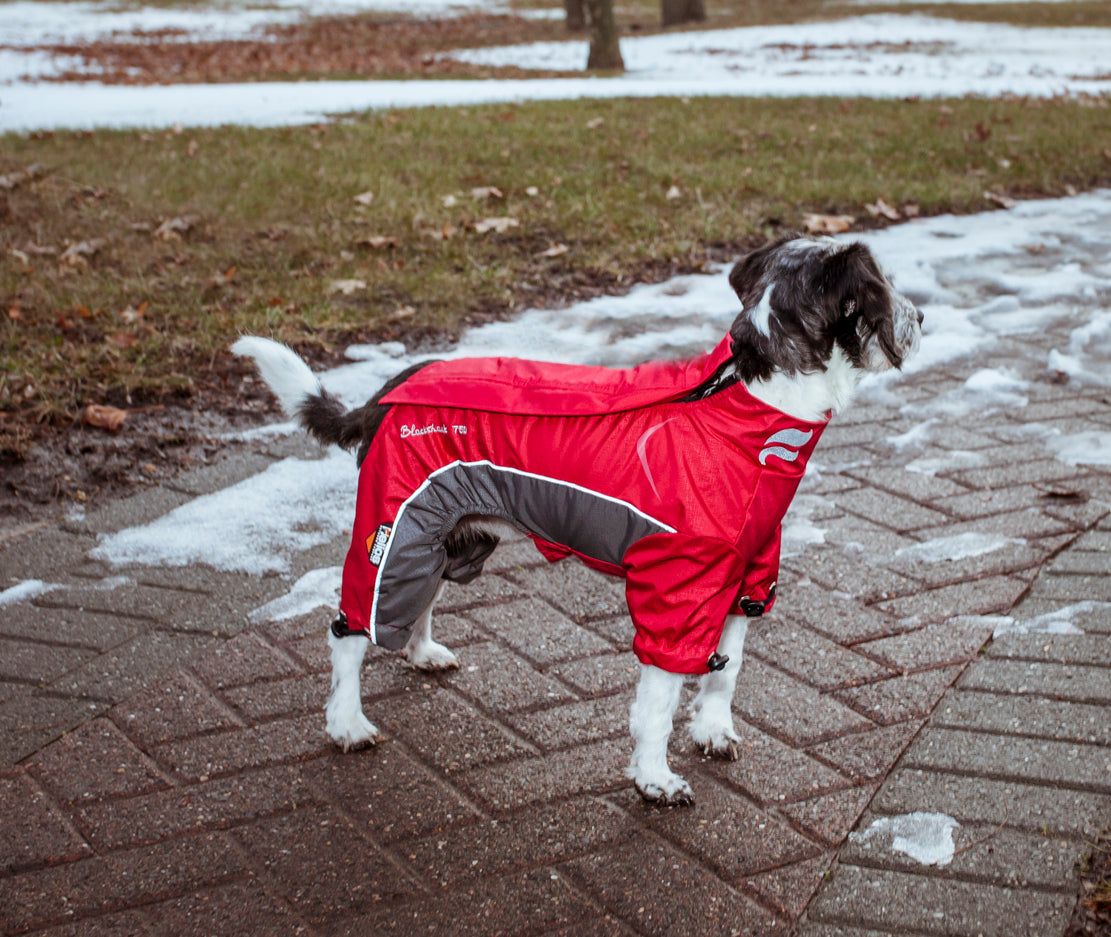 Helios Blizzard Full-Bodied Adjustable and 3M Reflective Dog Jacket