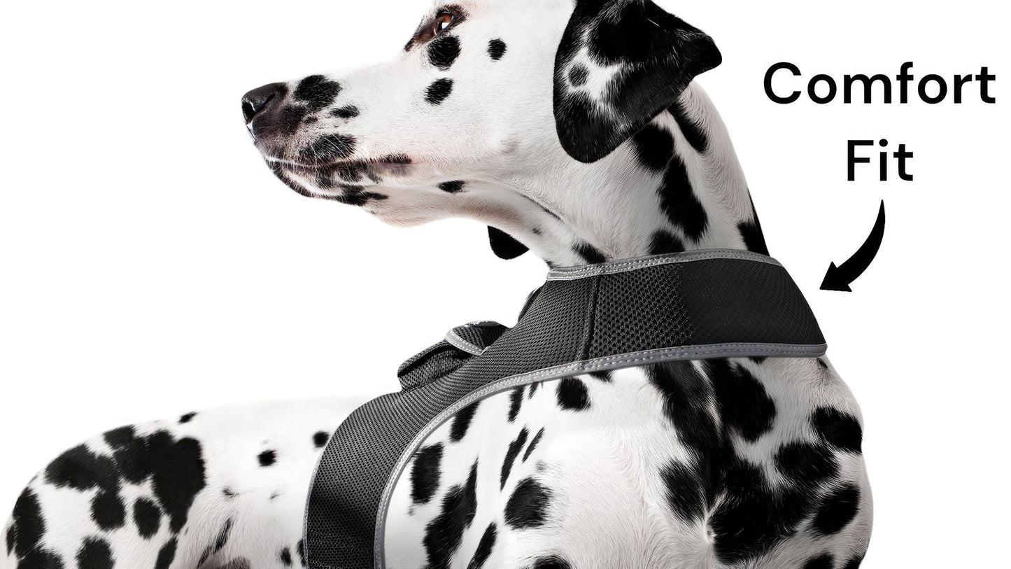 Mini Waterproof GPS Tracking Collars for Hunting Dogs w/ Tracking App Size:S