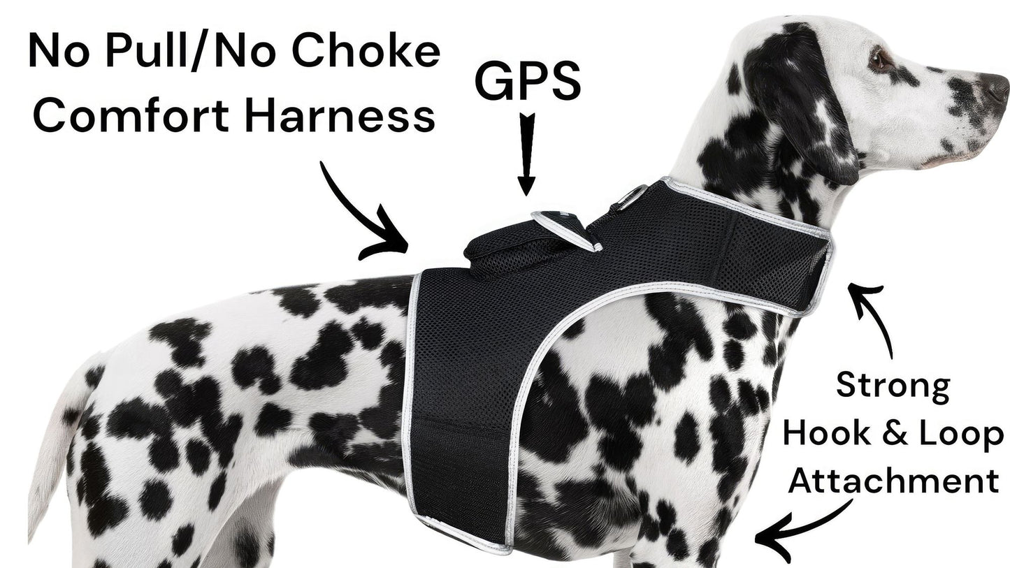 Mini Waterproof GPS Tracking Collars for Hunting Dogs w/ Tracking App Size:S