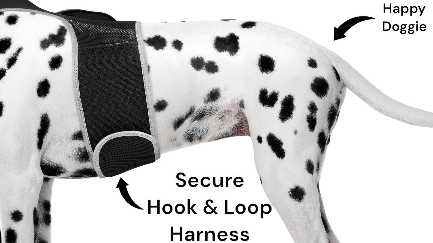 Mini Waterproof GPS Tracking Collars for Hunting Dogs w/ Tracking App Size:S