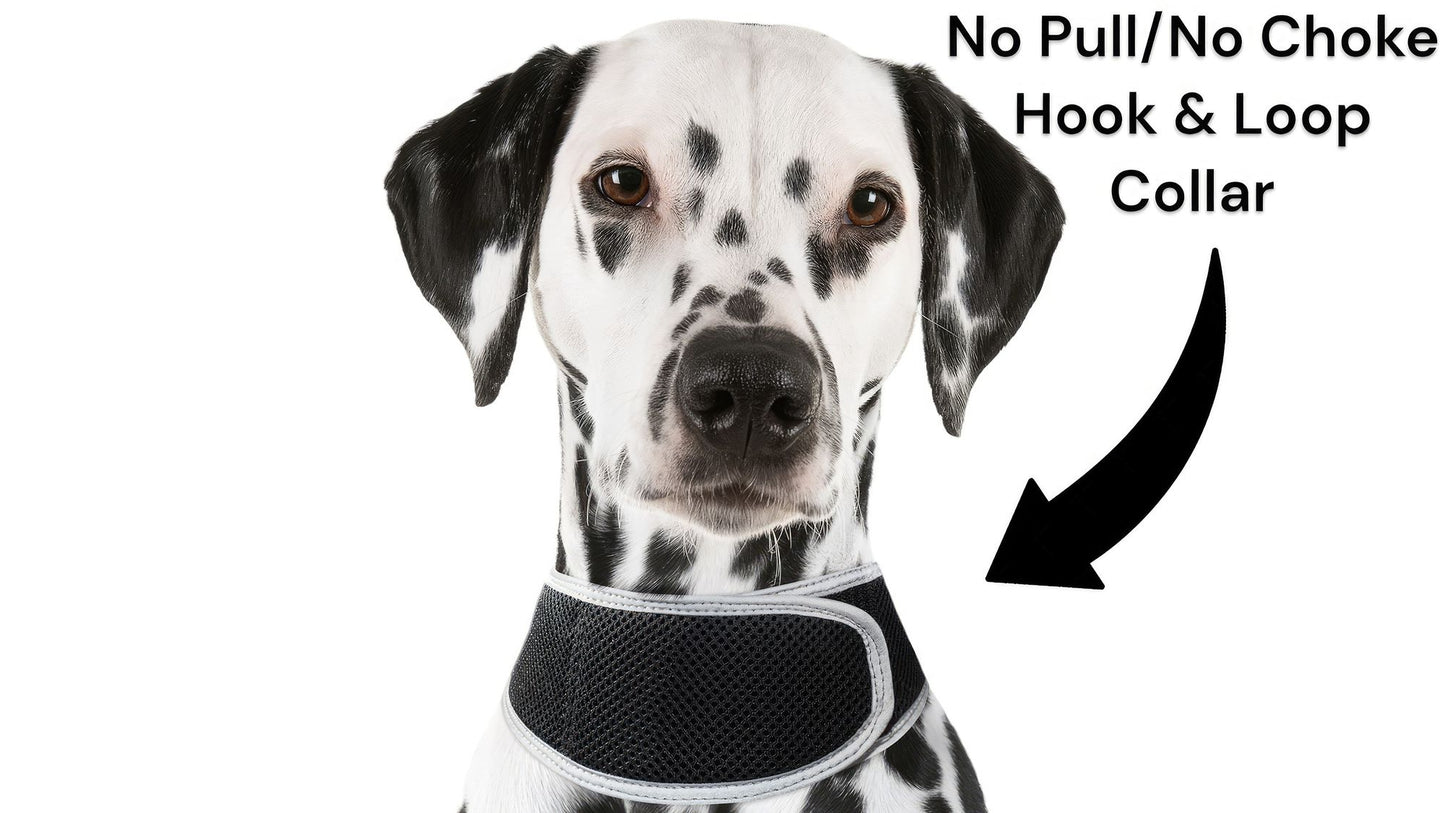 Mini Waterproof GPS Tracking Collars for Hunting Dogs w/ Tracking App Size:S