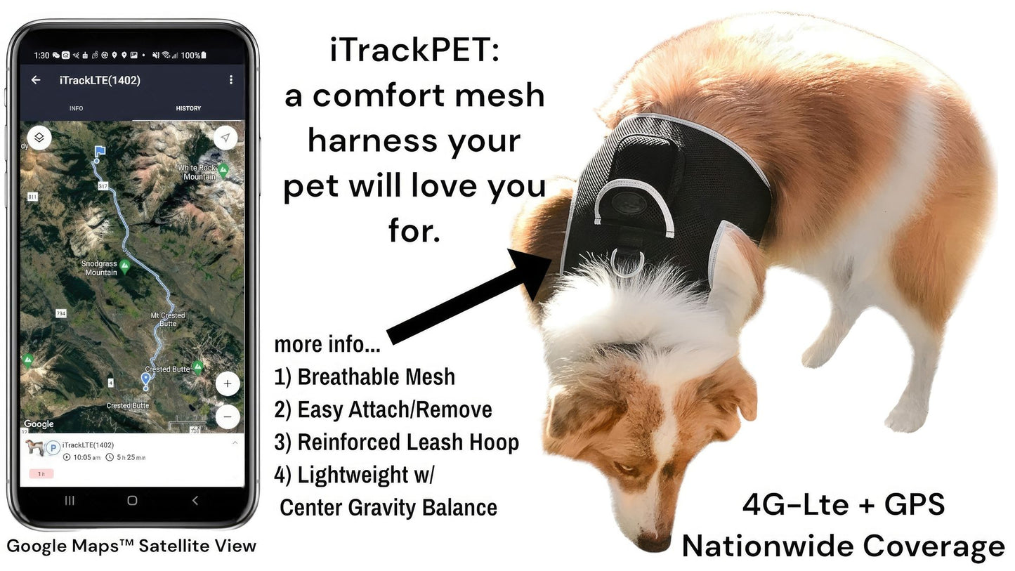 Dog Cat Pet Protection Consistent Locator Animal GPS Tracker NEW Size:M