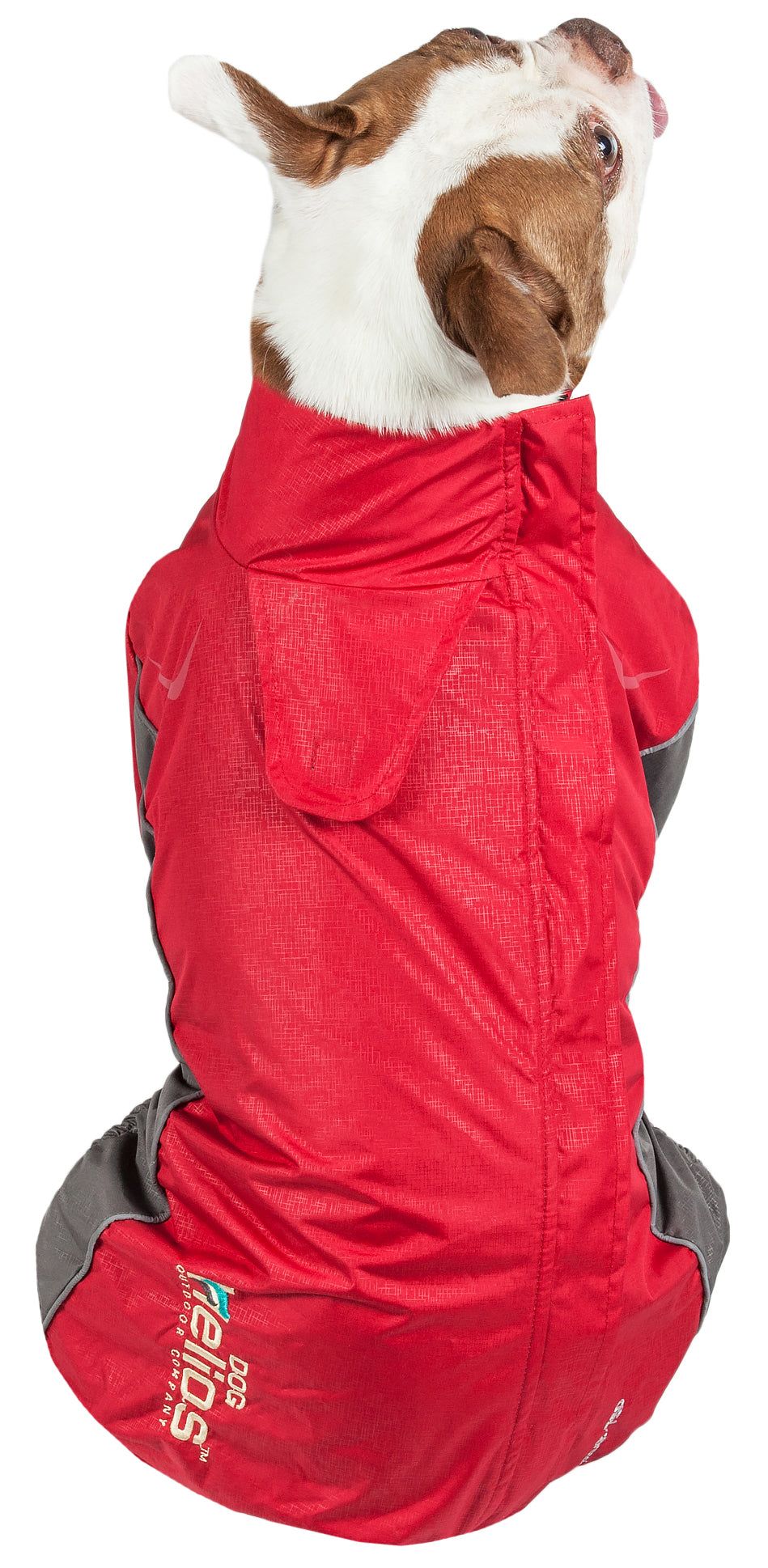 Helios Blizzard Full-Bodied Adjustable and 3M Reflective Dog Jacket