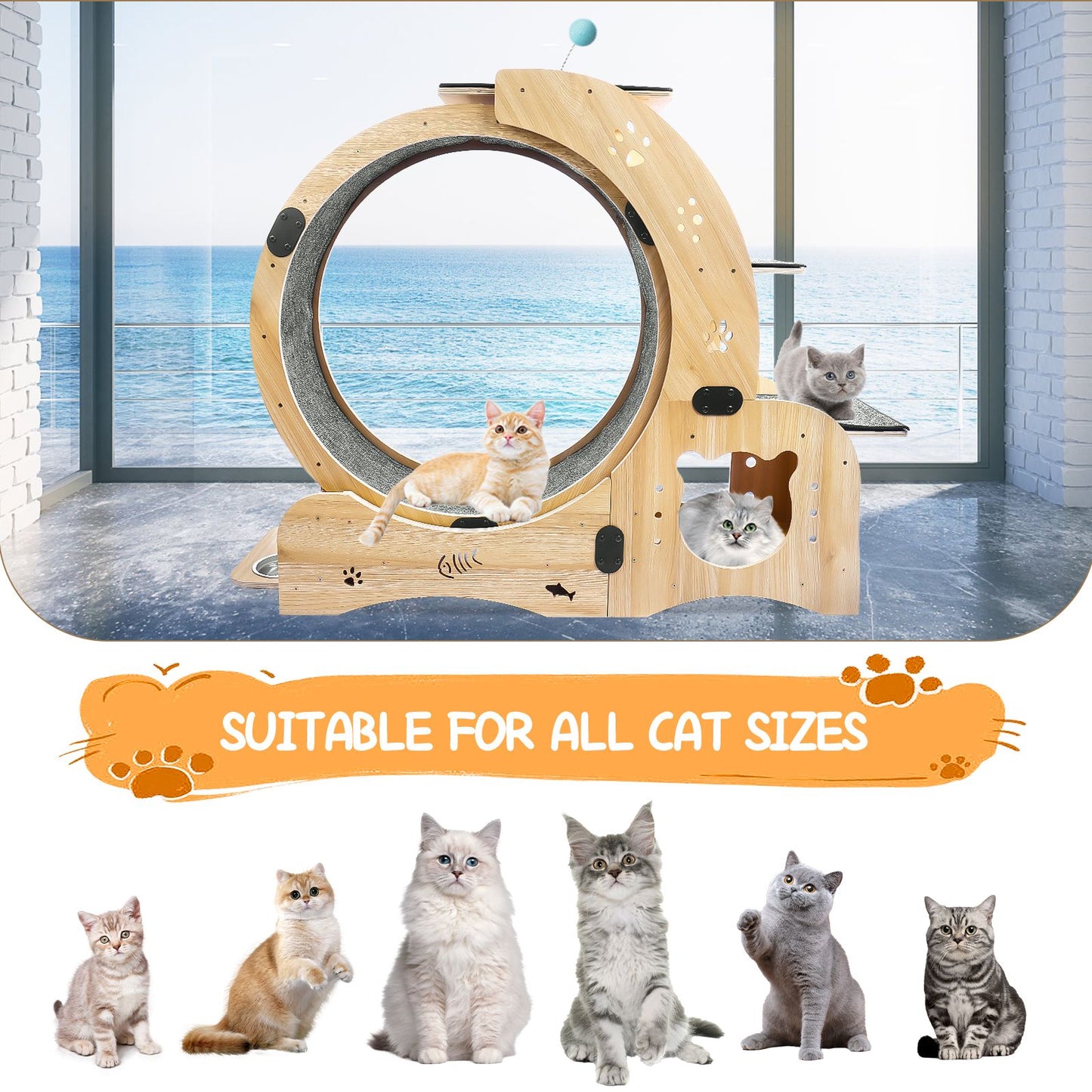 Cat Wheel 6-in-1 Cat Exercise Wheel,Upgraded Cat Wheel Exerciser for Indoor Cats,Large Cat Treadmill,Cat Running Wheel with Silent Wheel,Cat Walking Wheel Cat Furniture Cat Toys