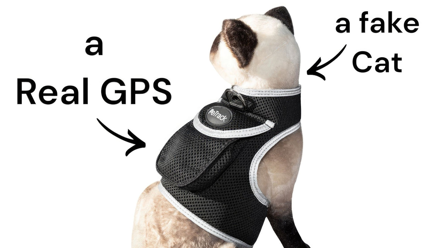 Dog Cat Pet Protection Consistent Locator Animal GPS Tracker NEW Size:M