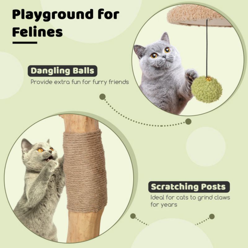 43 Inch Wooden Cat Tree with Padded Top Perch